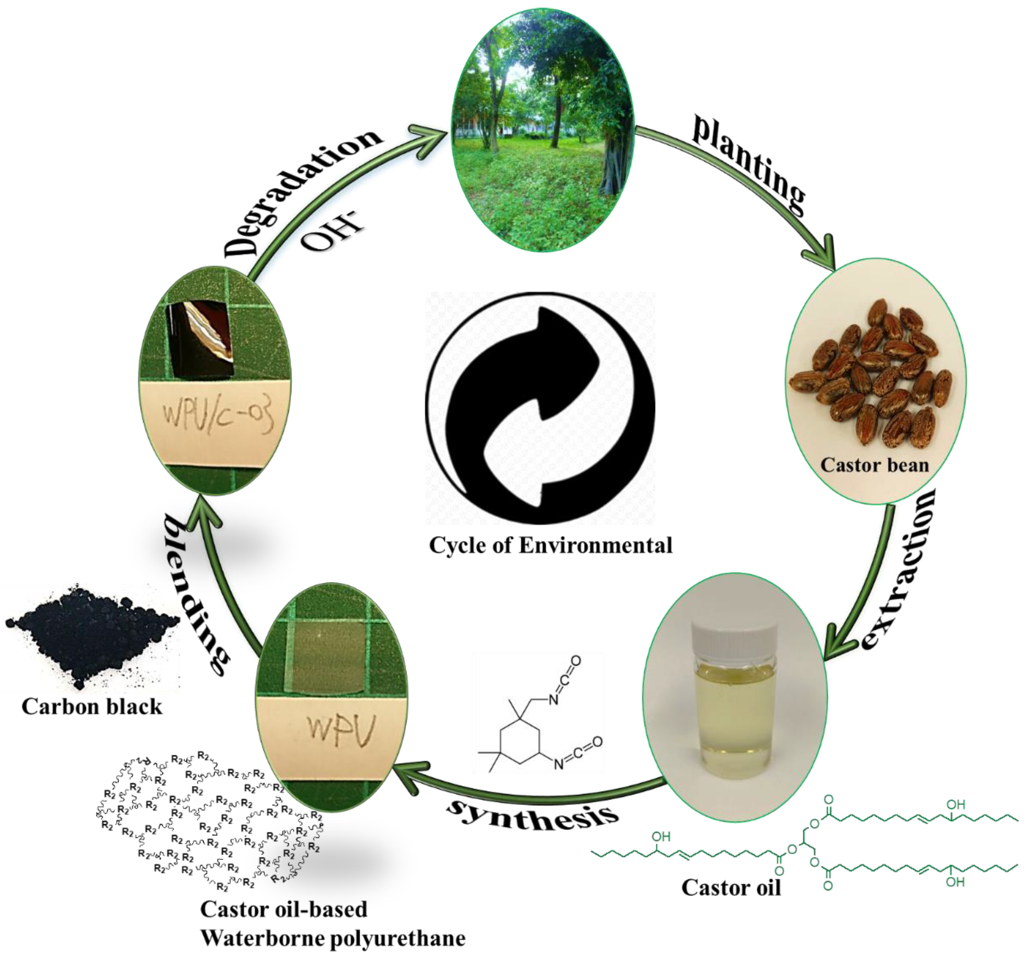 Polymers 11 01333 g001
