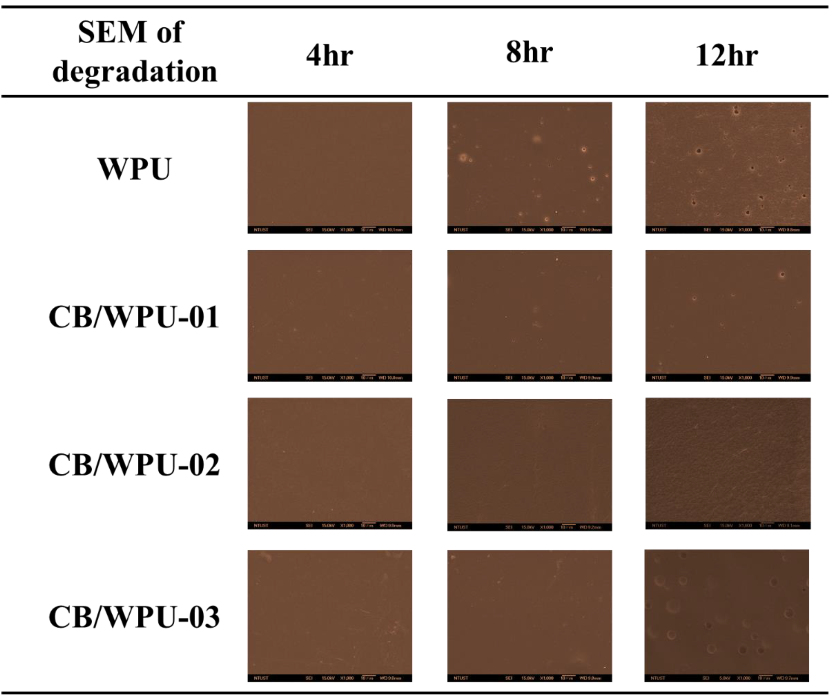 Polymers 11 01333 g008