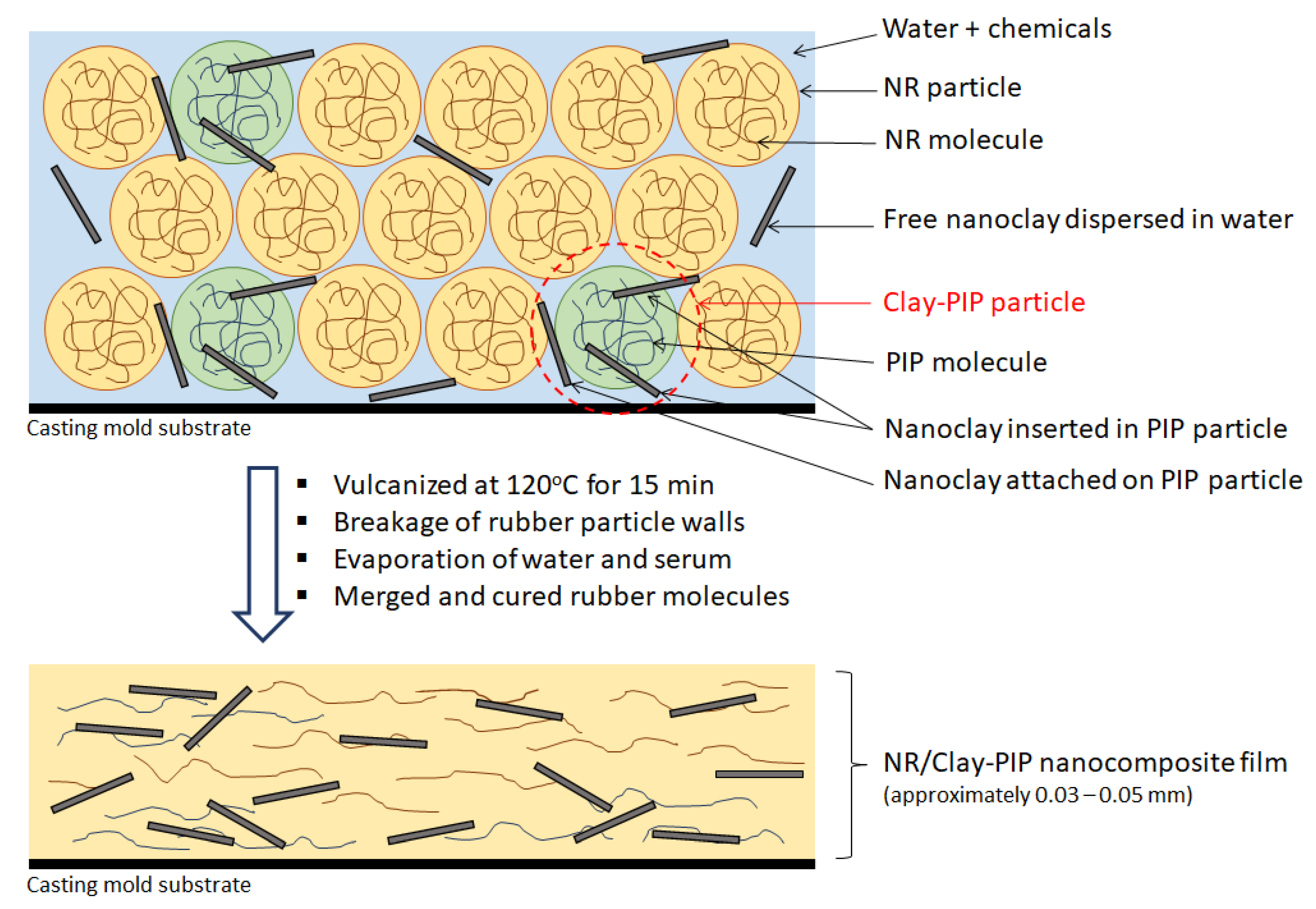 Polymers 11 01338 g009