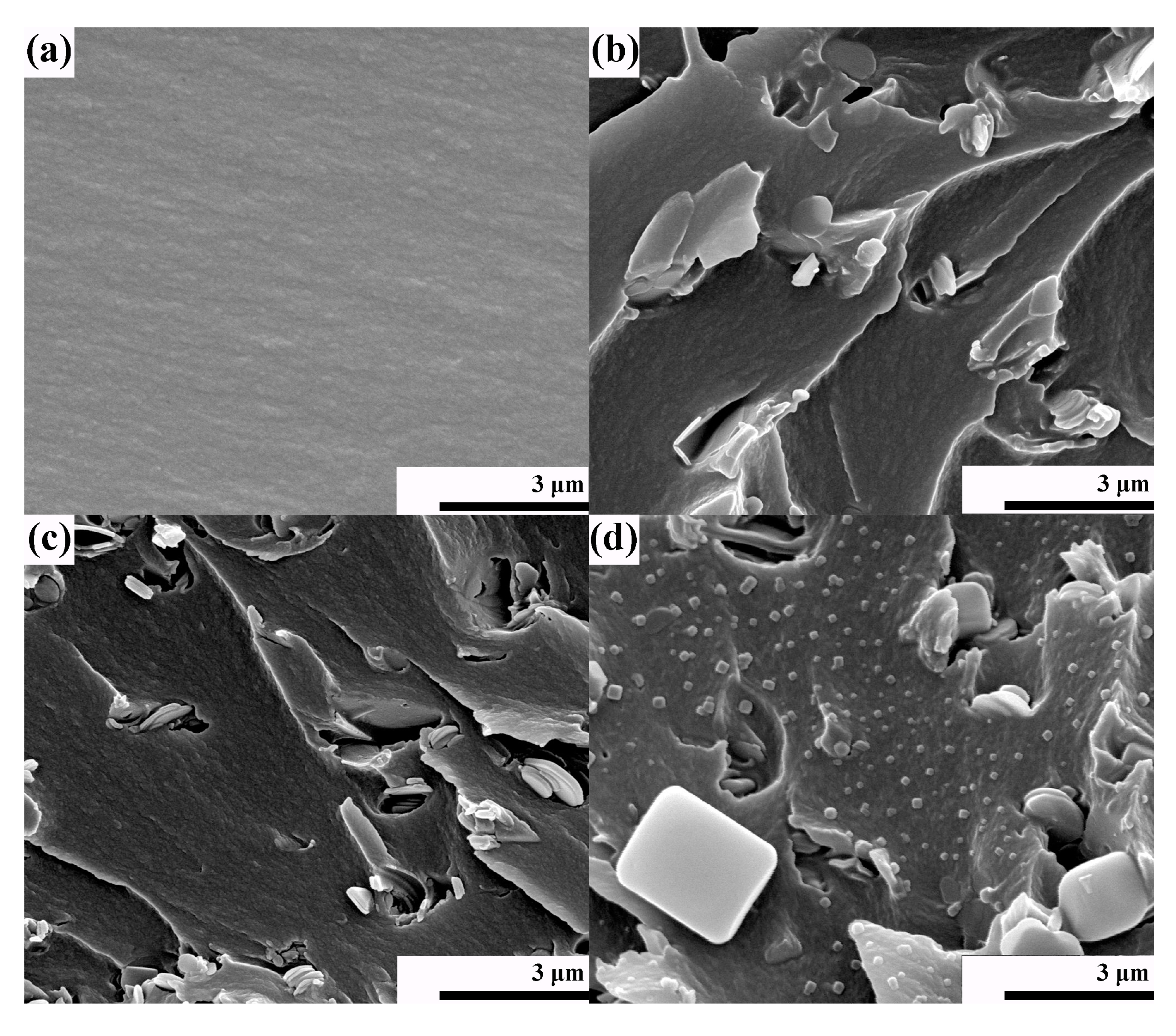 Polymers 11 01340 g004 Polymers 11 01340 g004