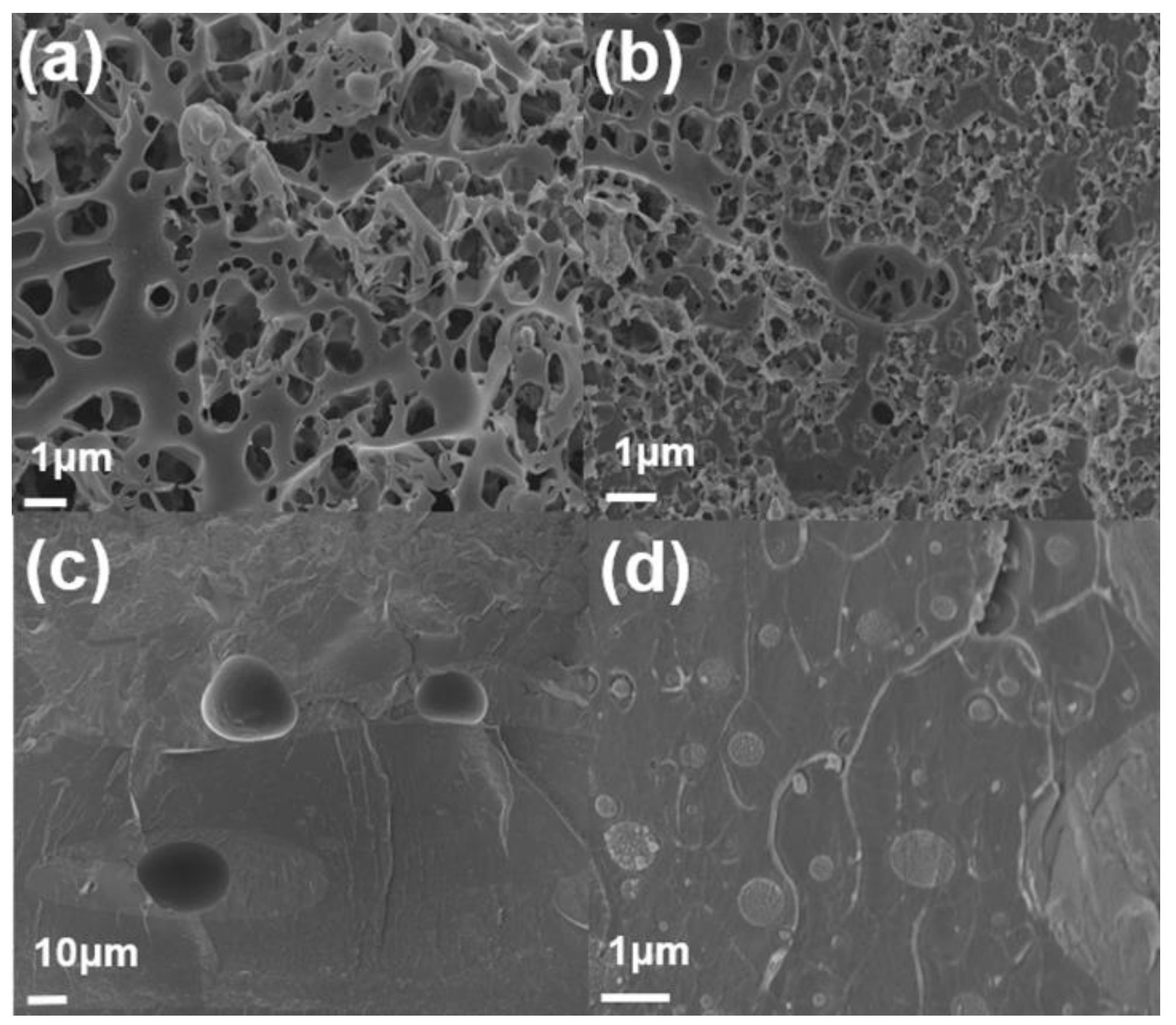 Polymers 11 01347 g008 Polymers 11 01347 g008