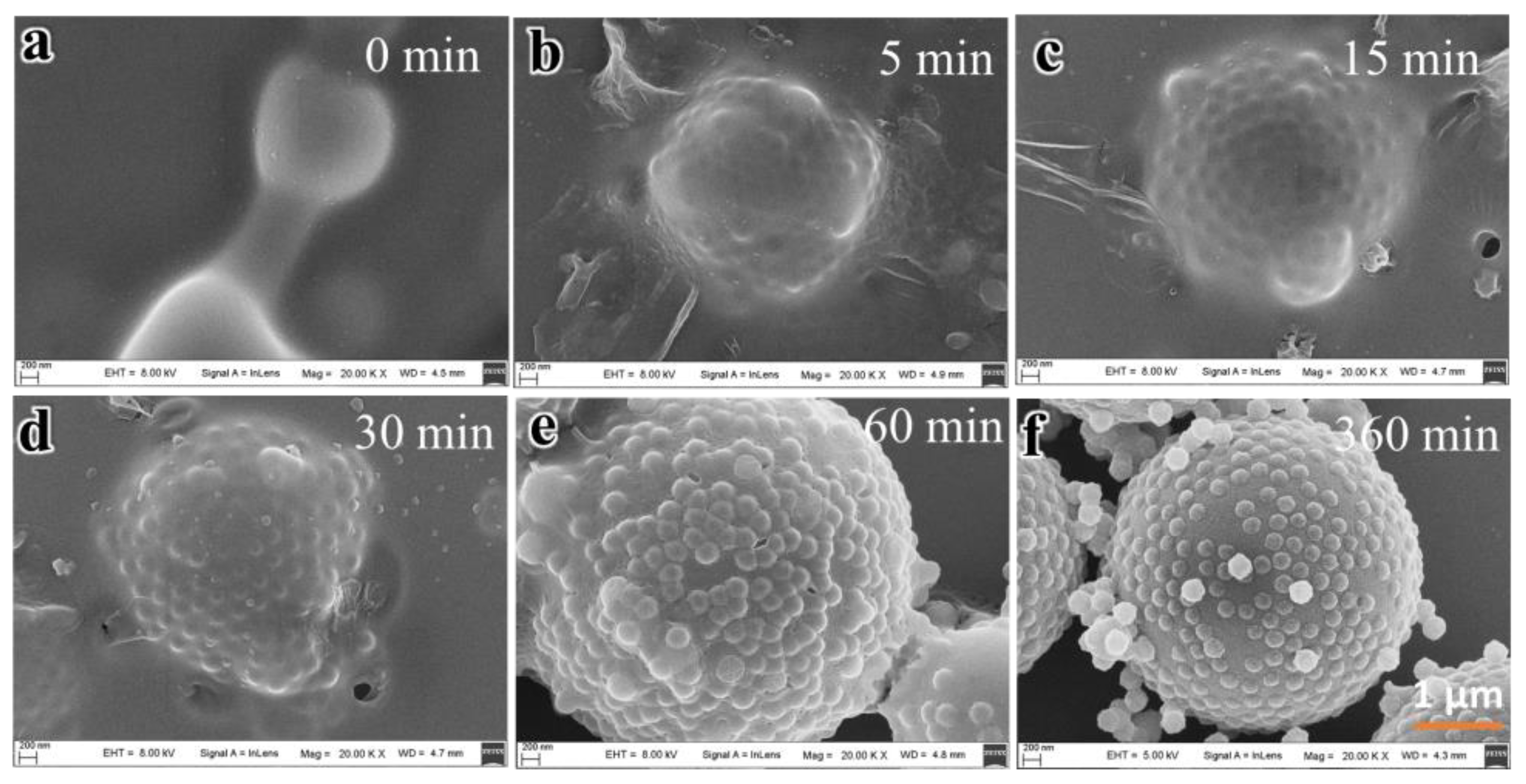 Polymers 11 01350 g003