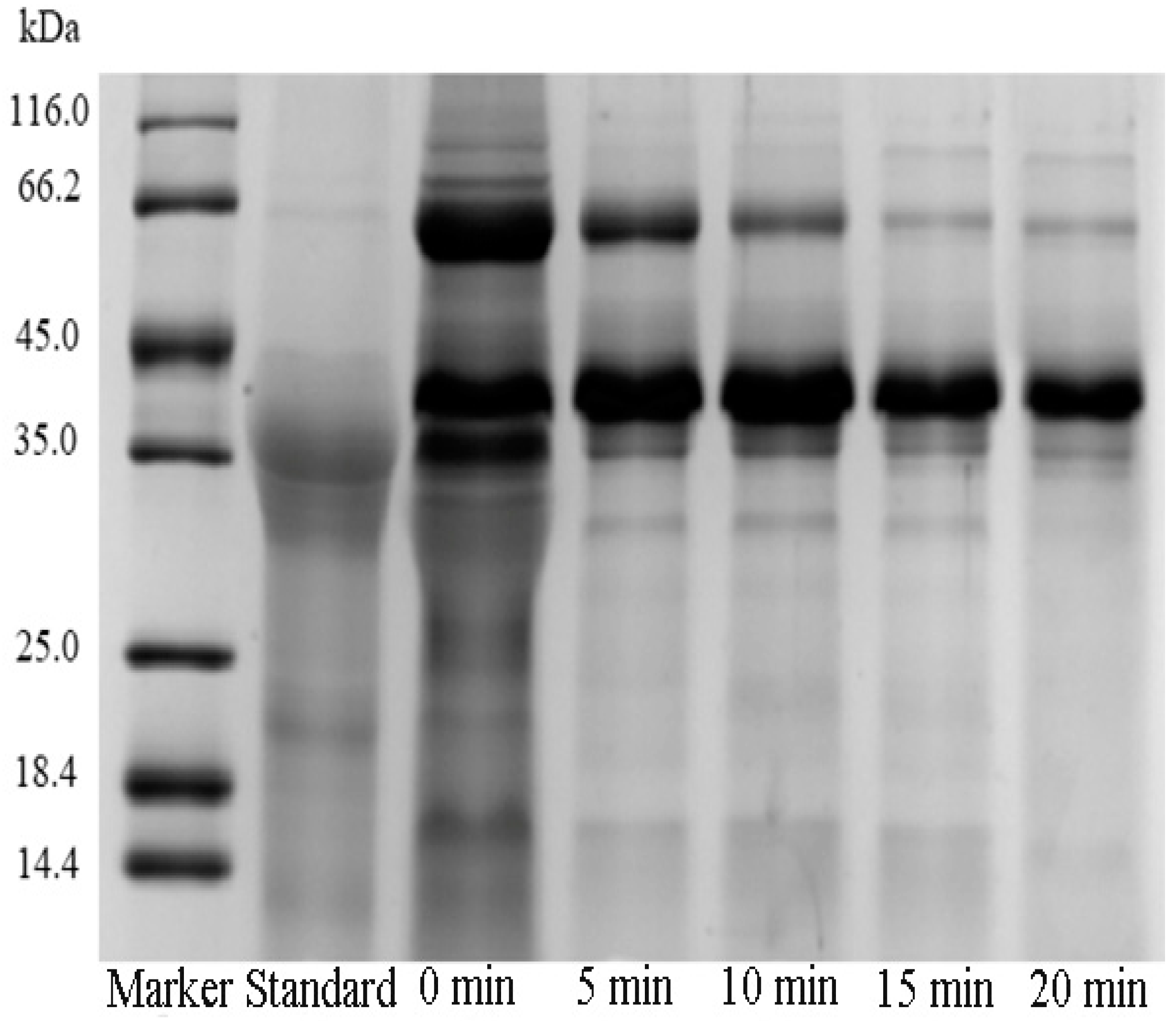 Polymers 11 01353 g002
