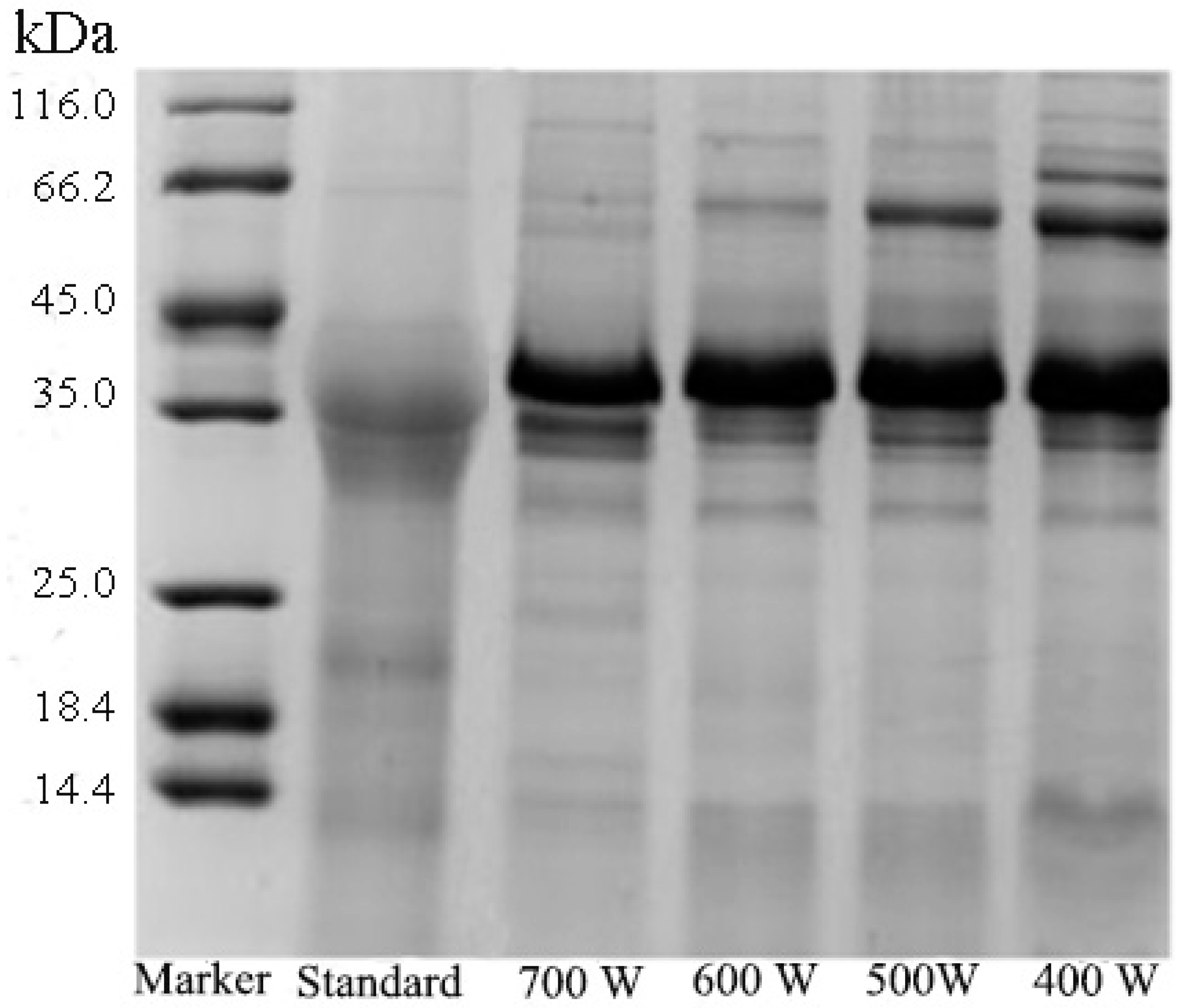 Polymers 11 01353 g003