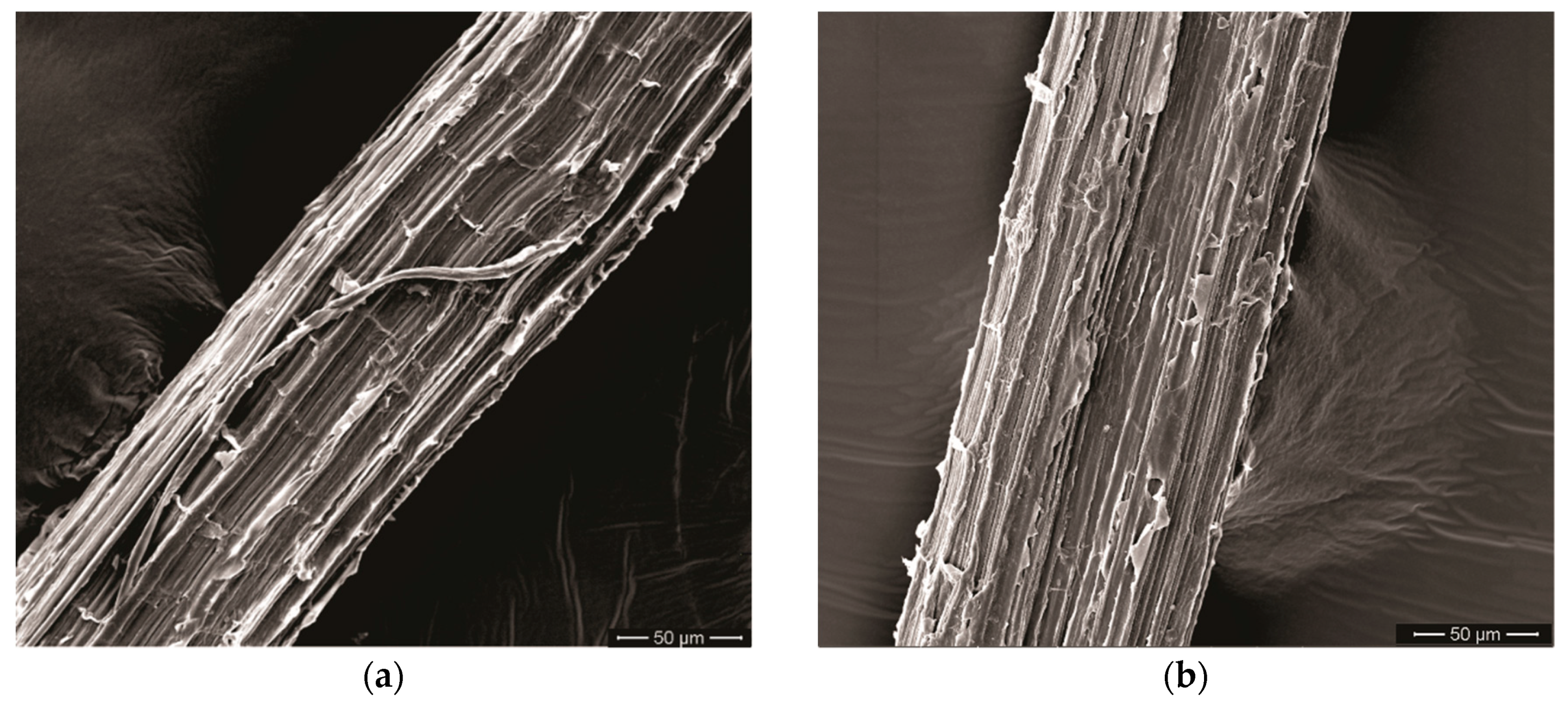Polymers 11 01356 g008 Polymers 11 01356 g008