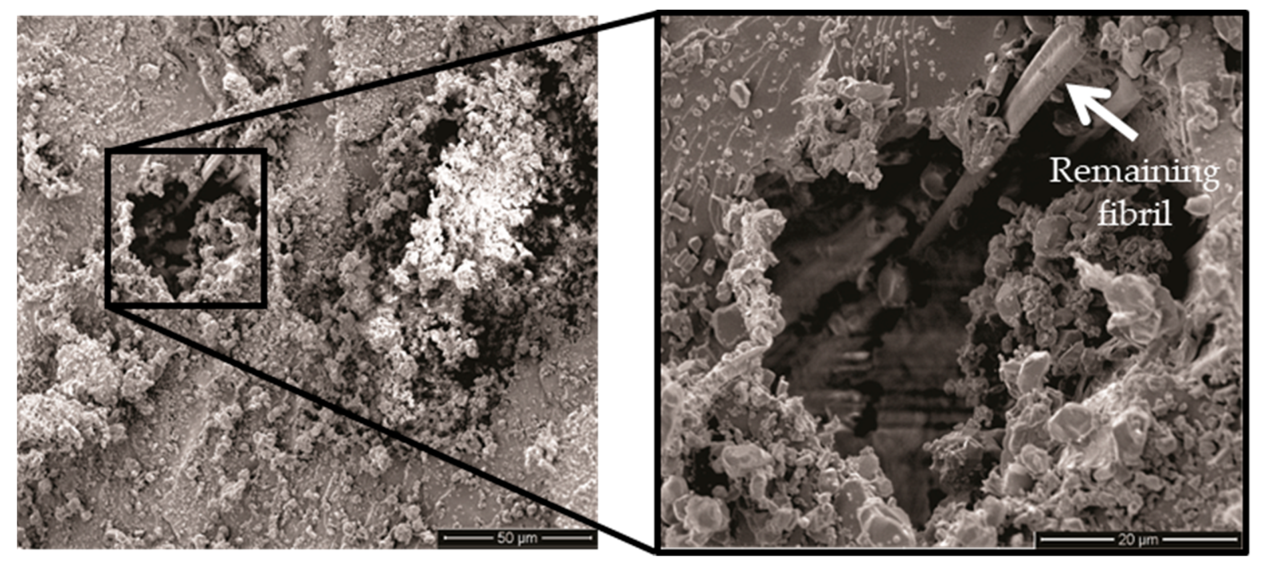 Polymers 11 01356 g017 Polymers 11 01356 g017