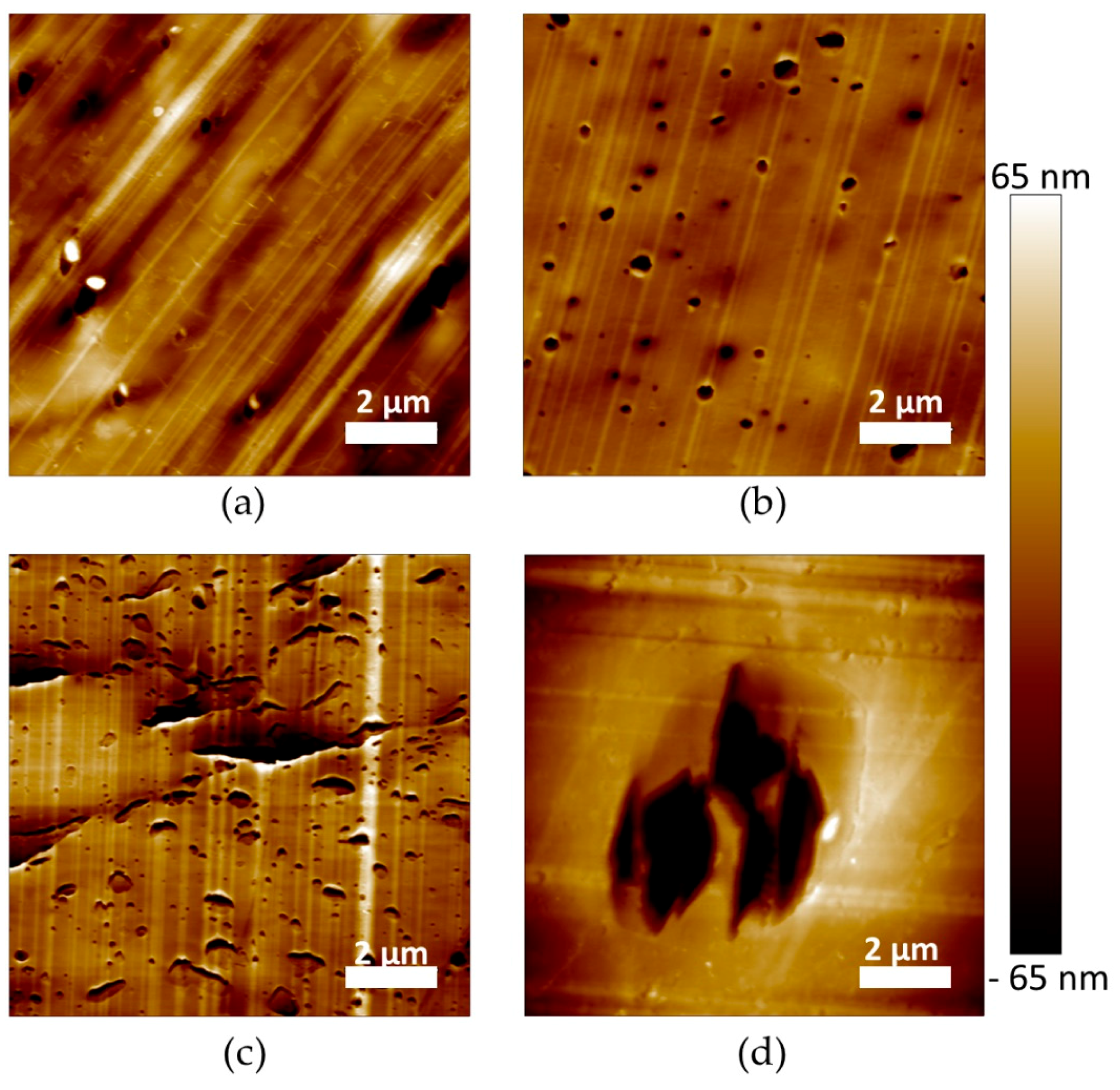 Polymers 11 01363 g005