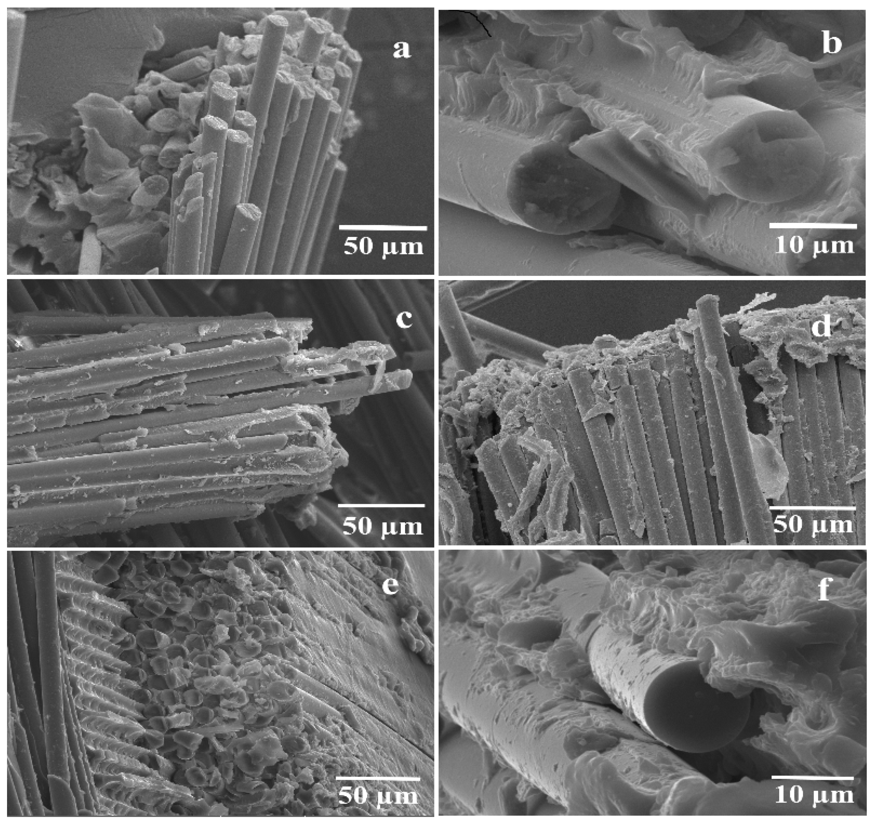 Polymers 11 01364 g007