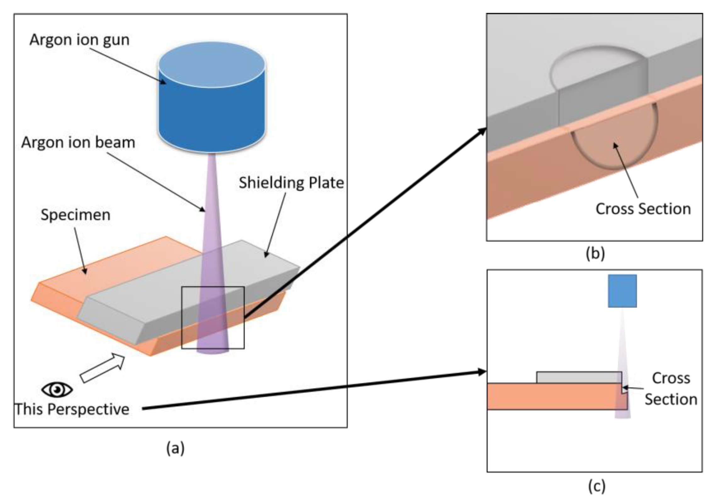 Polymers 11 01367 g003