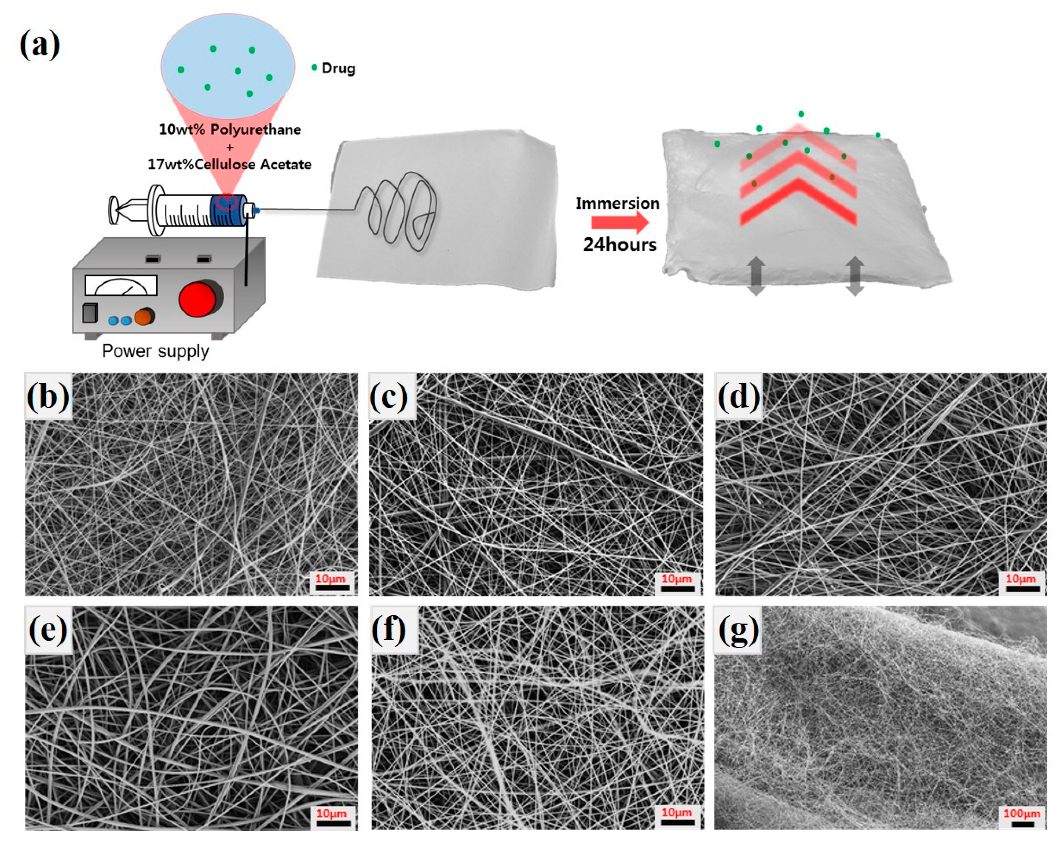 Polymers 11 01376 g001 Polymers 11 01376 g001