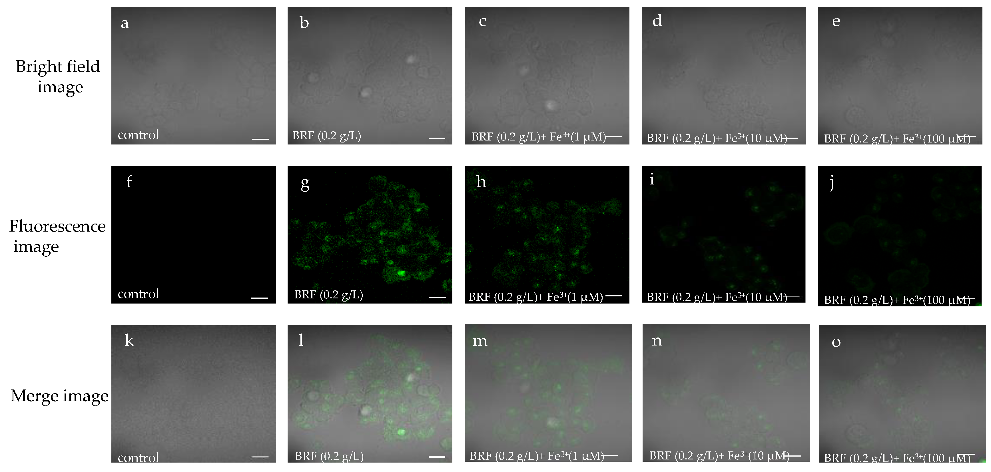 Polymers 11 01377 g005