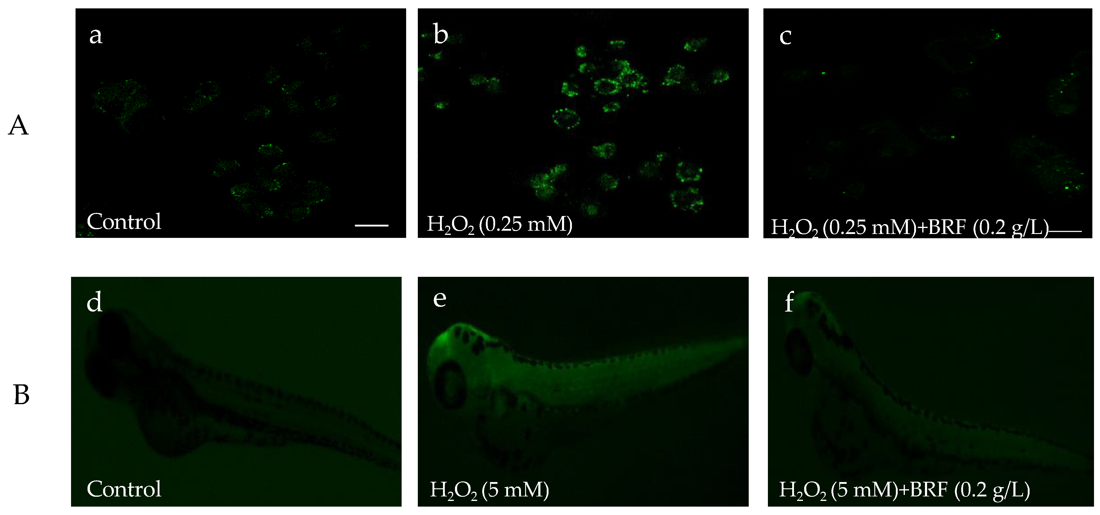 Polymers 11 01377 g007