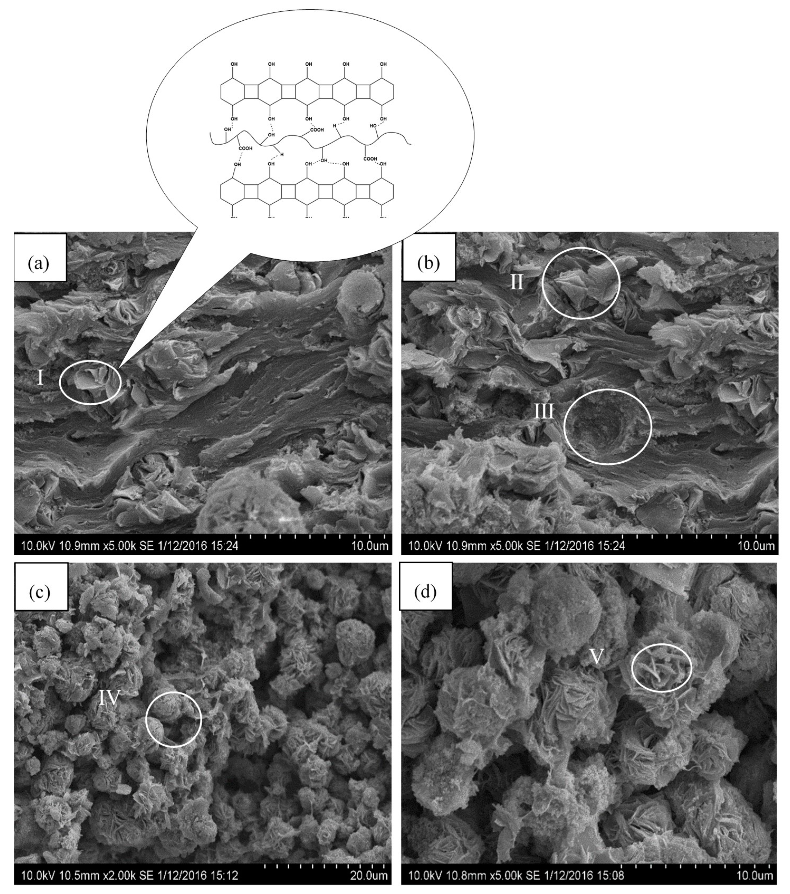 Polymers 11 01378 g002
