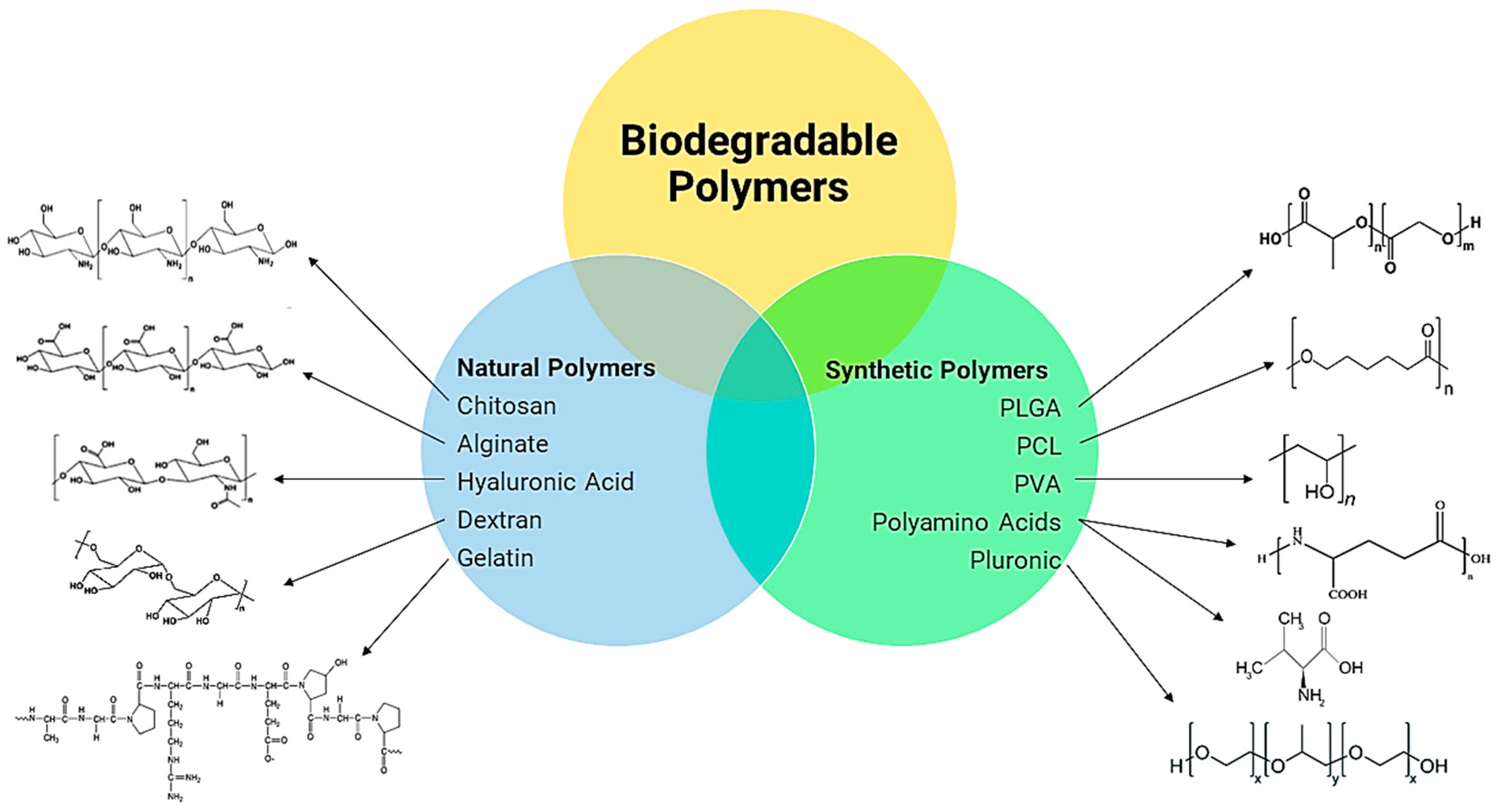 Polymers 11 01380 g001