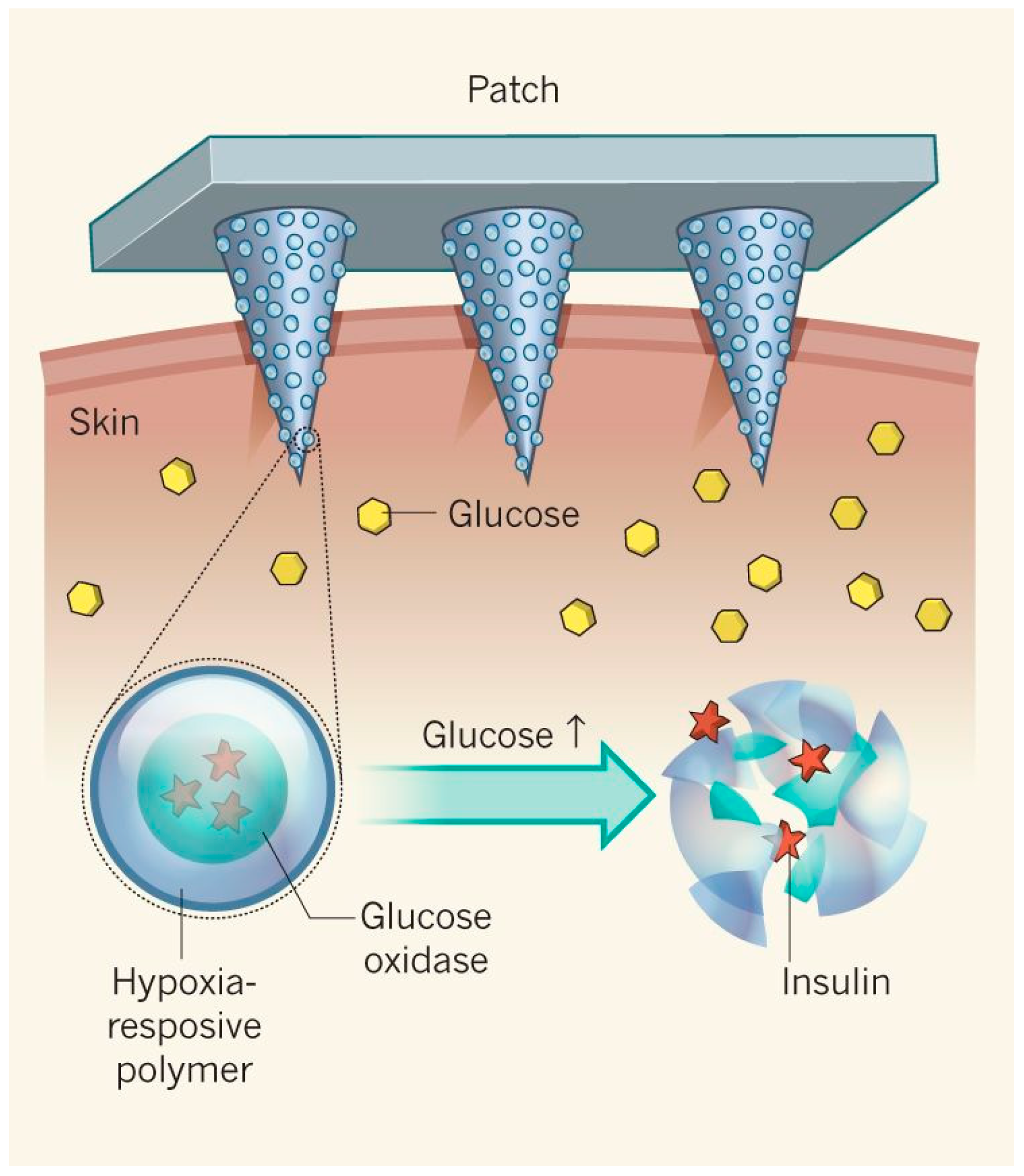 Polymers 11 01380 g008