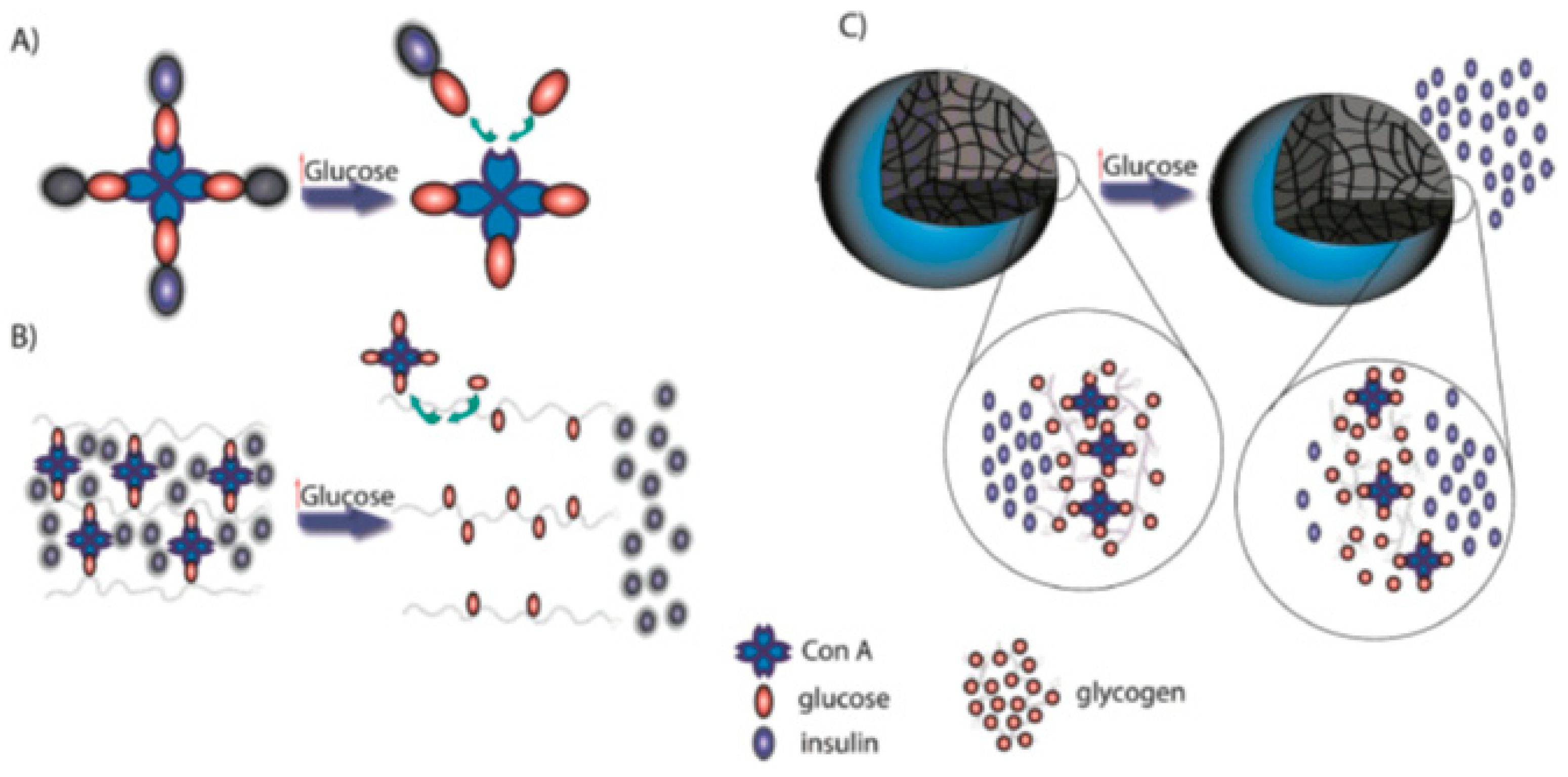 Polymers 11 01380 g009