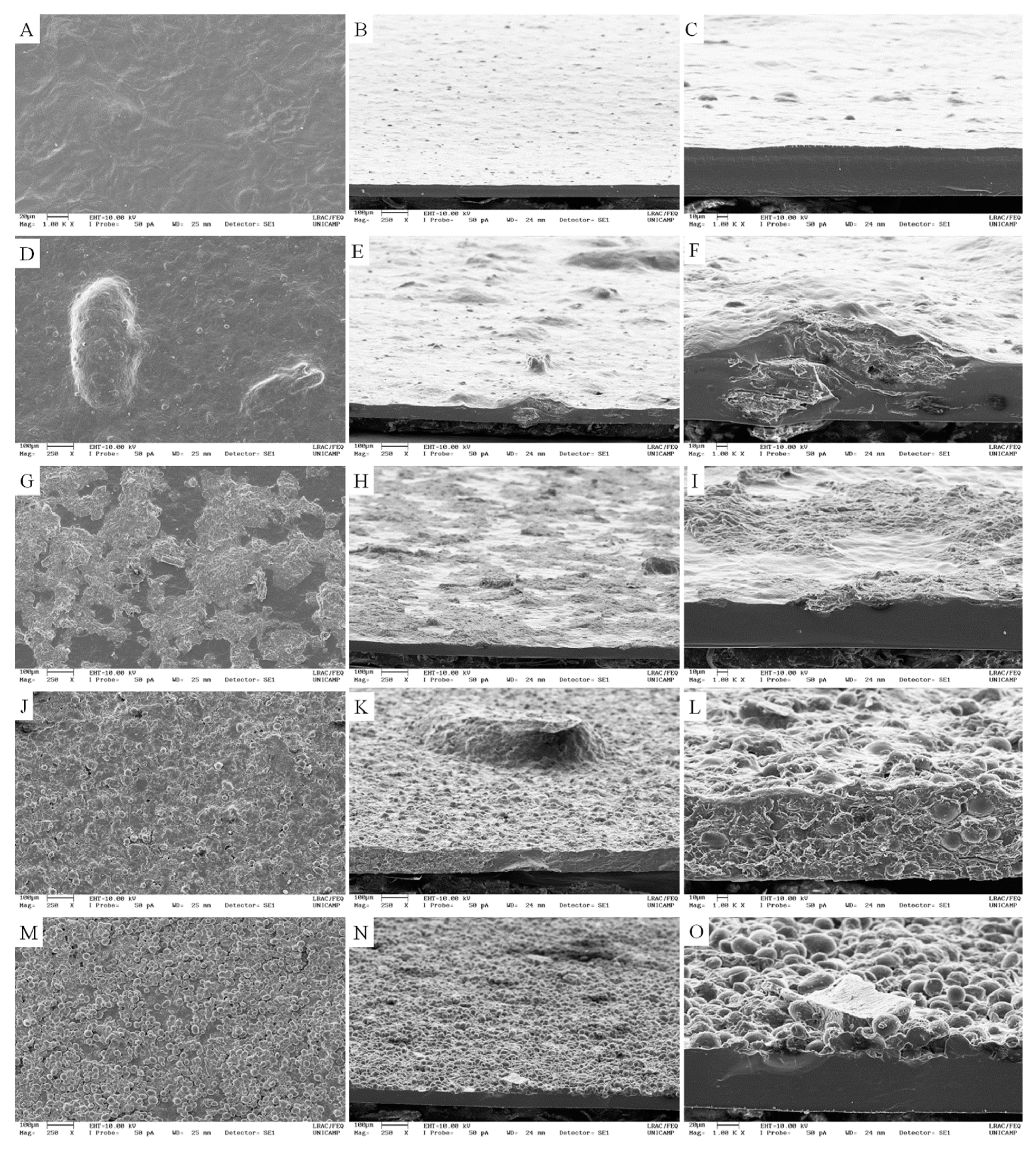 Polymers 11 01382 g003 Polymers 11 01382 g003