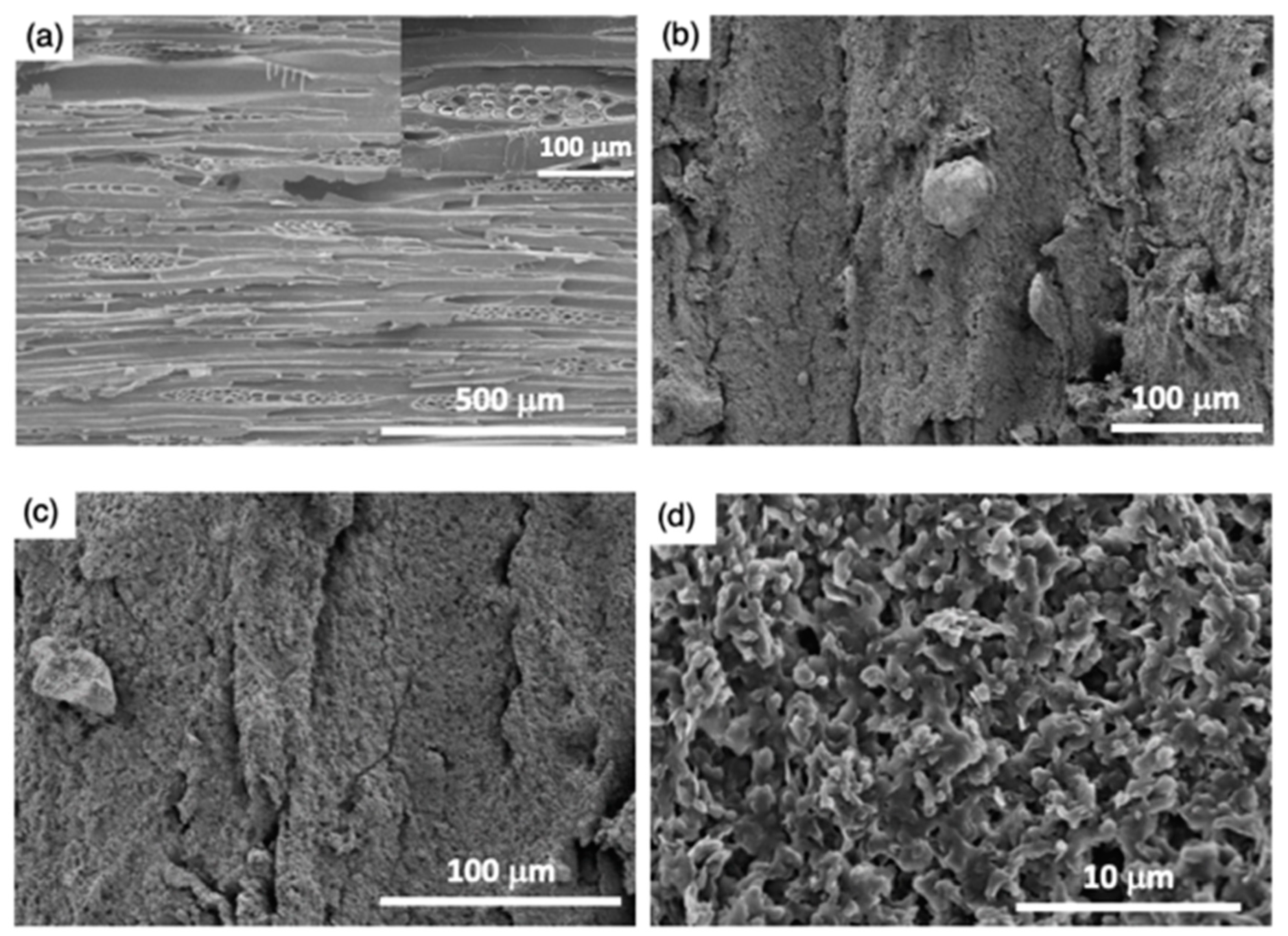 Polymers 11 01388 g003 Polymers 11 01388 g003