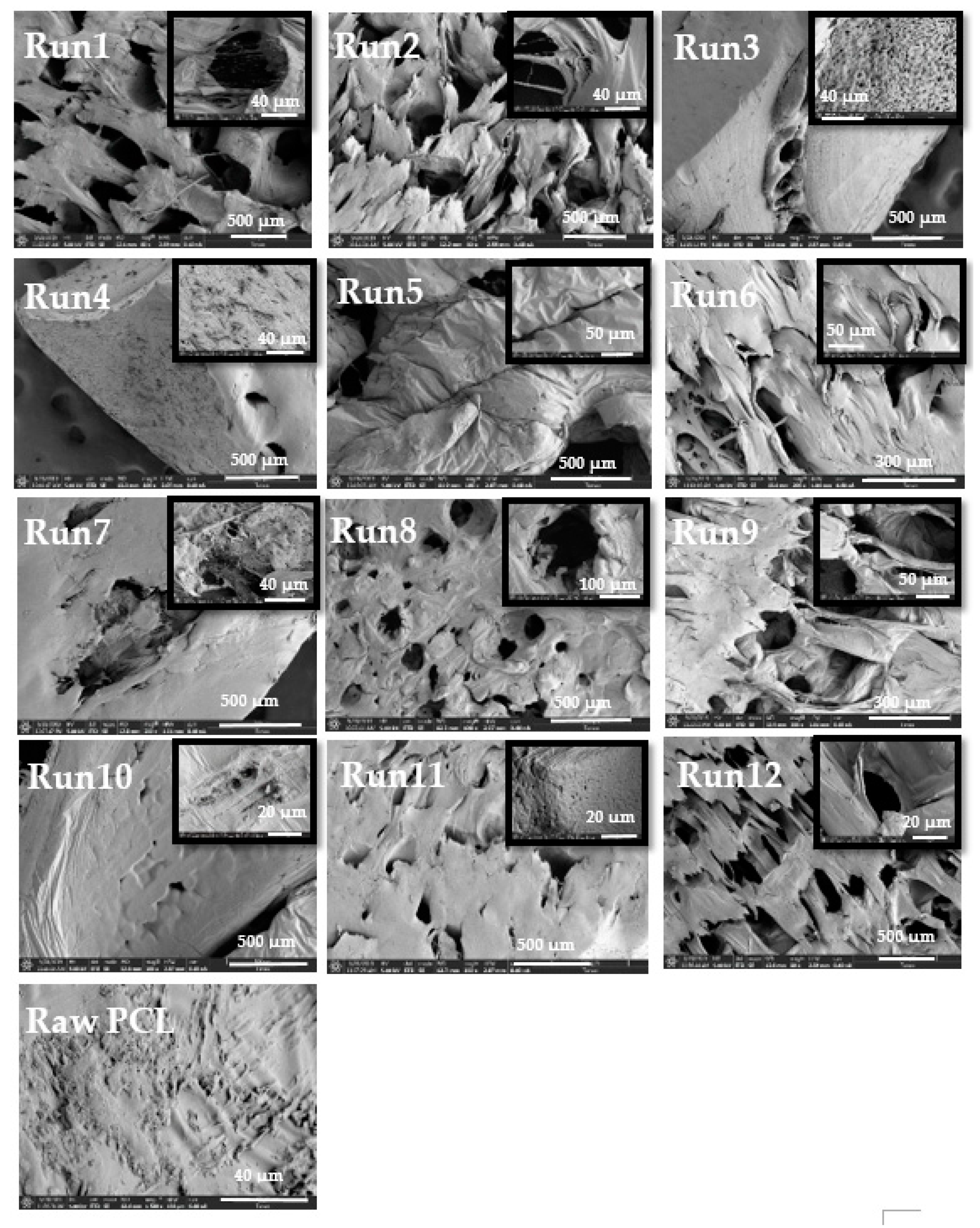 Polymers 11 01390 g003