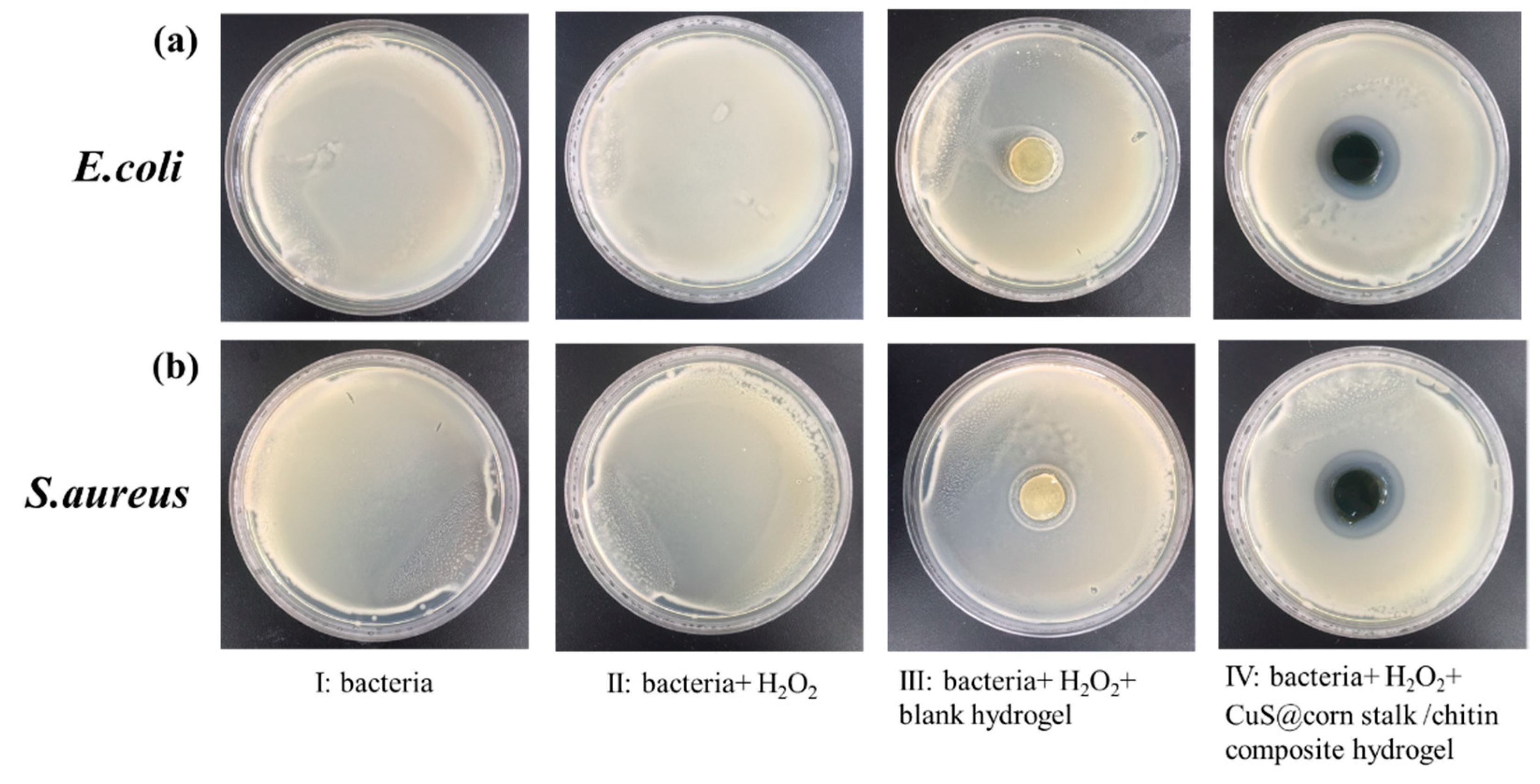 Polymers 11 01393 g006 Polymers 11 01393 g006