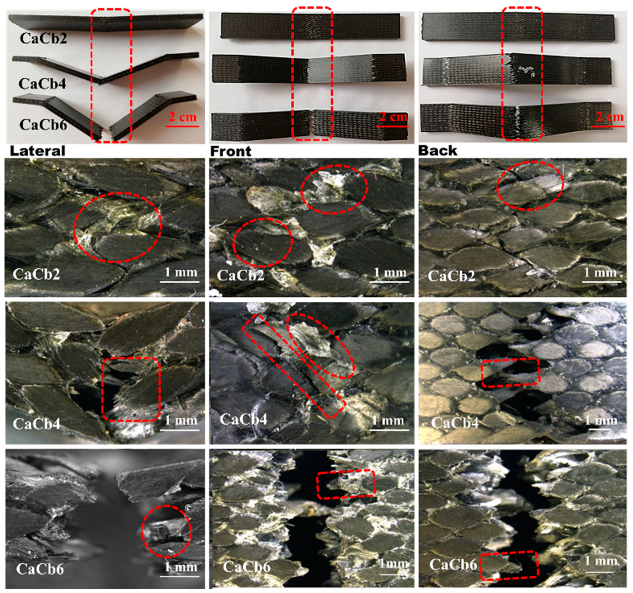 Polymers 11 01395 g005 Polymers 11 01395 g005