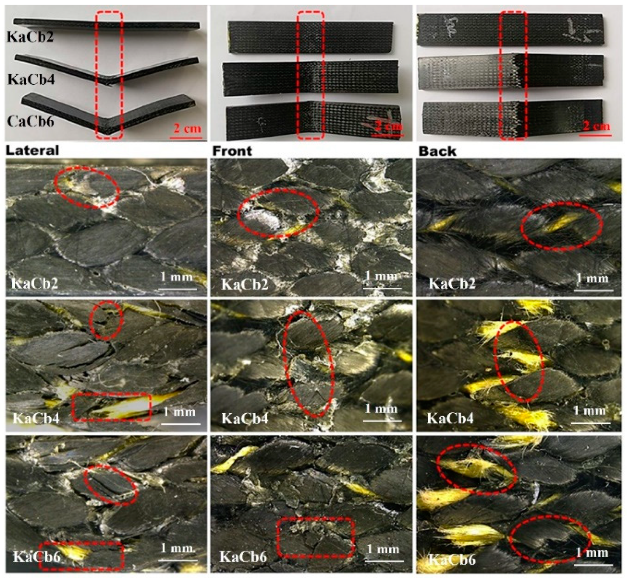 Polymers 11 01395 g006 Polymers 11 01395 g006