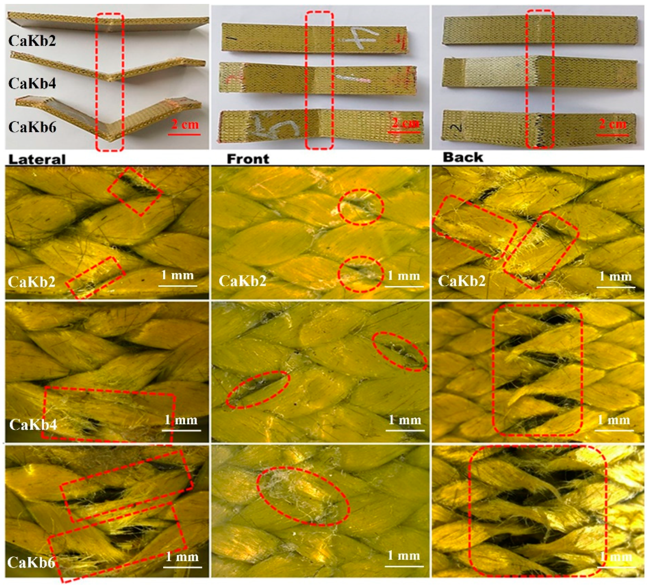 Polymers 11 01395 g007 Polymers 11 01395 g007