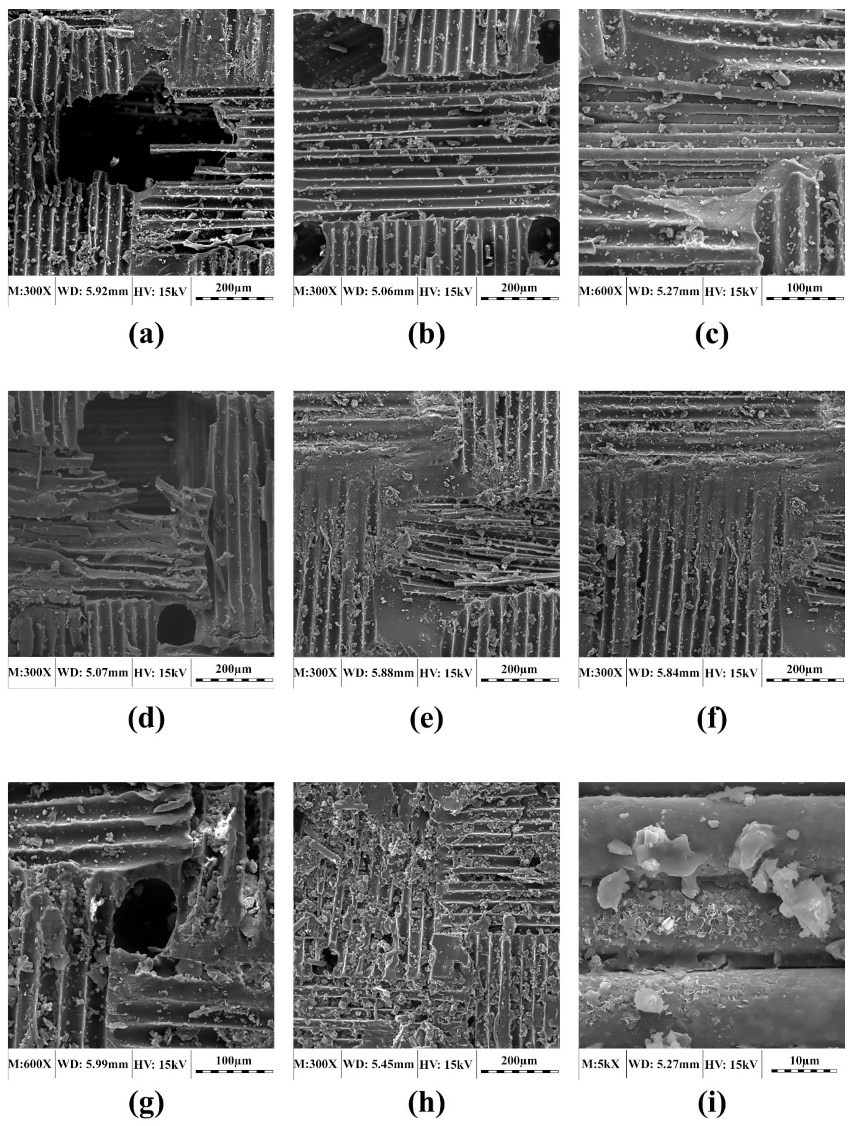 Polymers 11 01401 g007