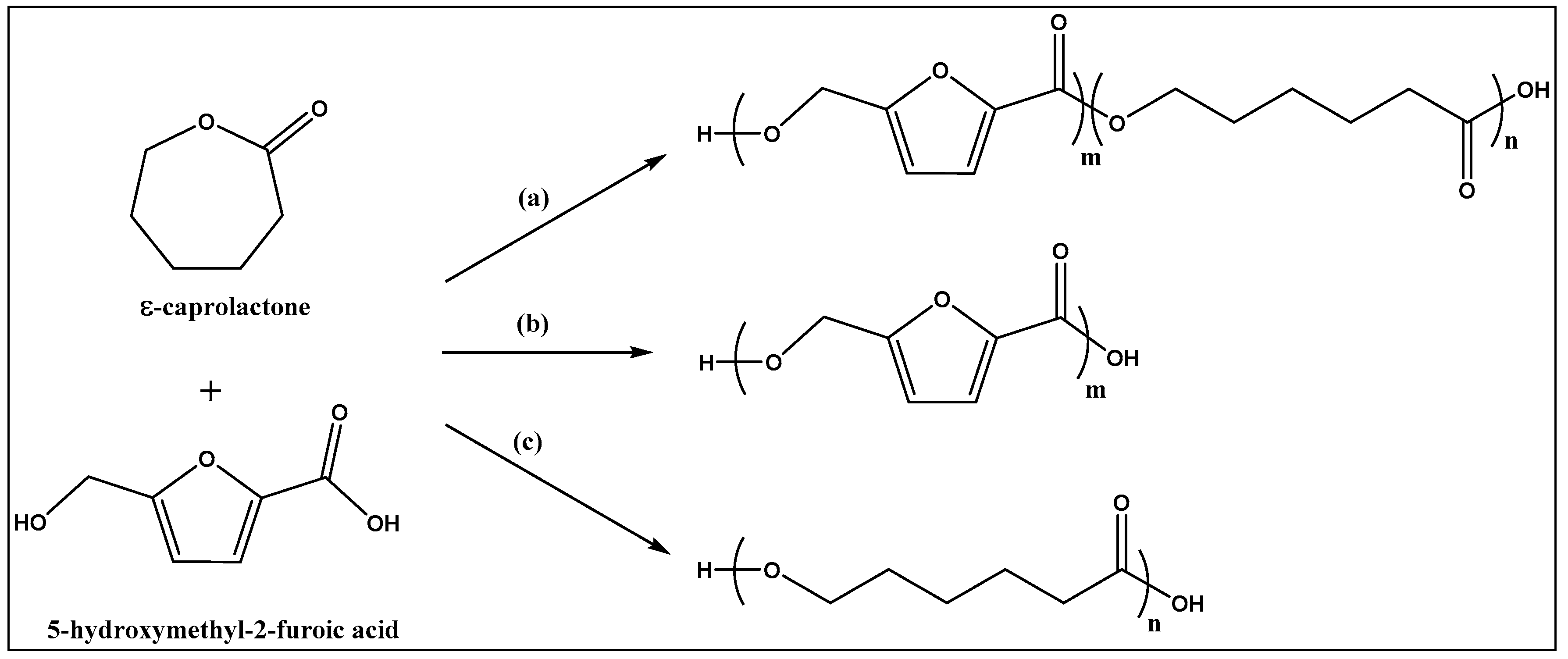 Polymers 11 01402 g001