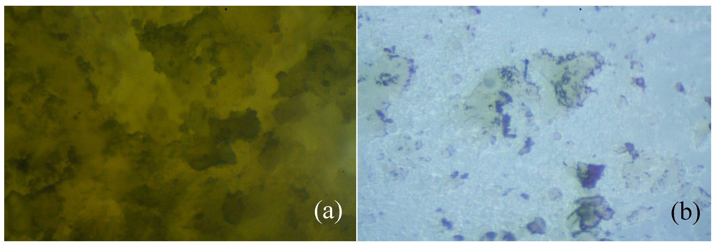 Polymers 11 01402 g008