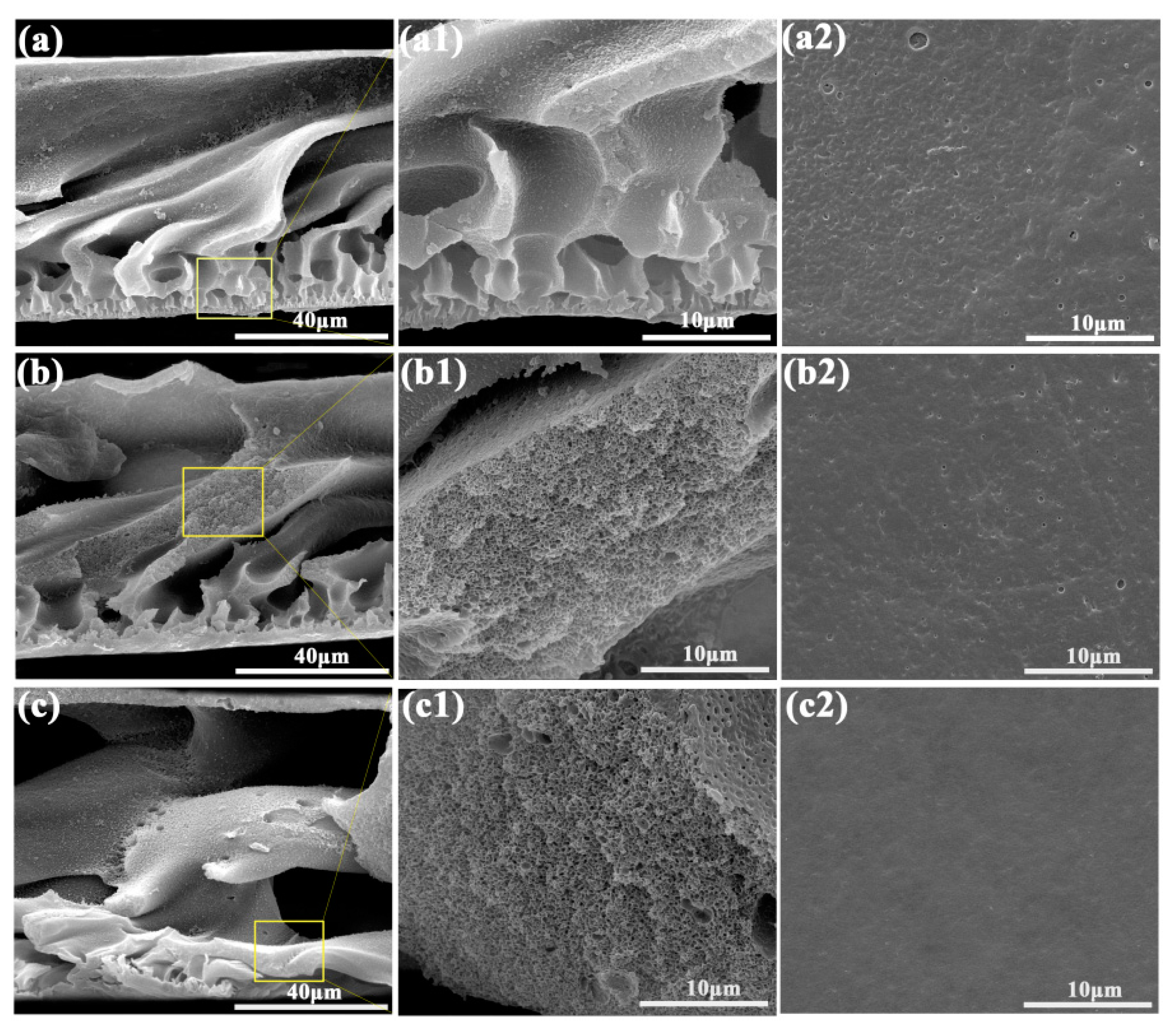Polymers 11 01412 g002 Polymers 11 01412 g002