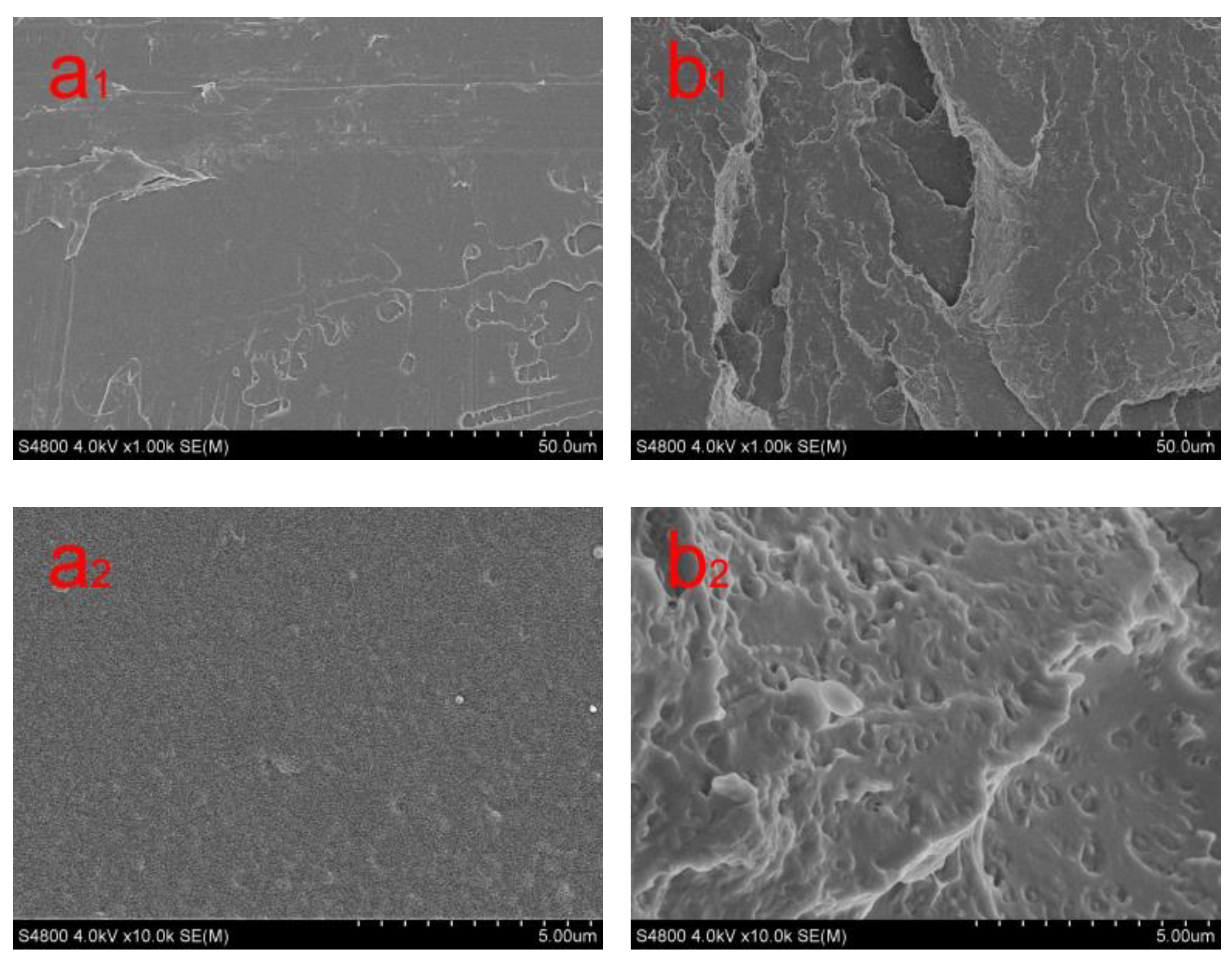 Polymers 11 01413 g002 Polymers 11 01413 g002