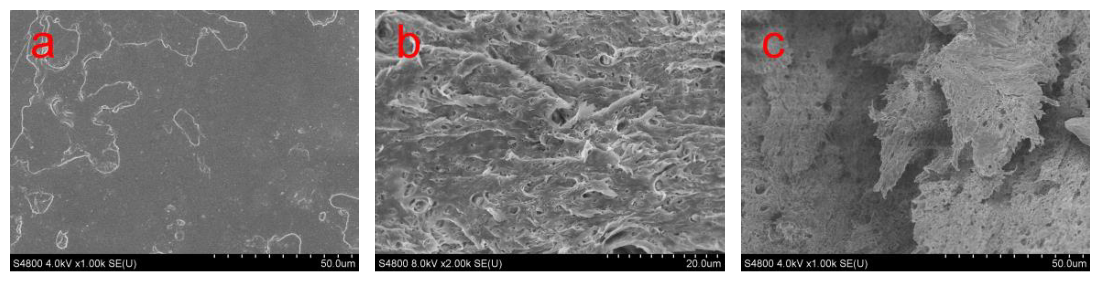Polymers 11 01413 g004 Polymers 11 01413 g004