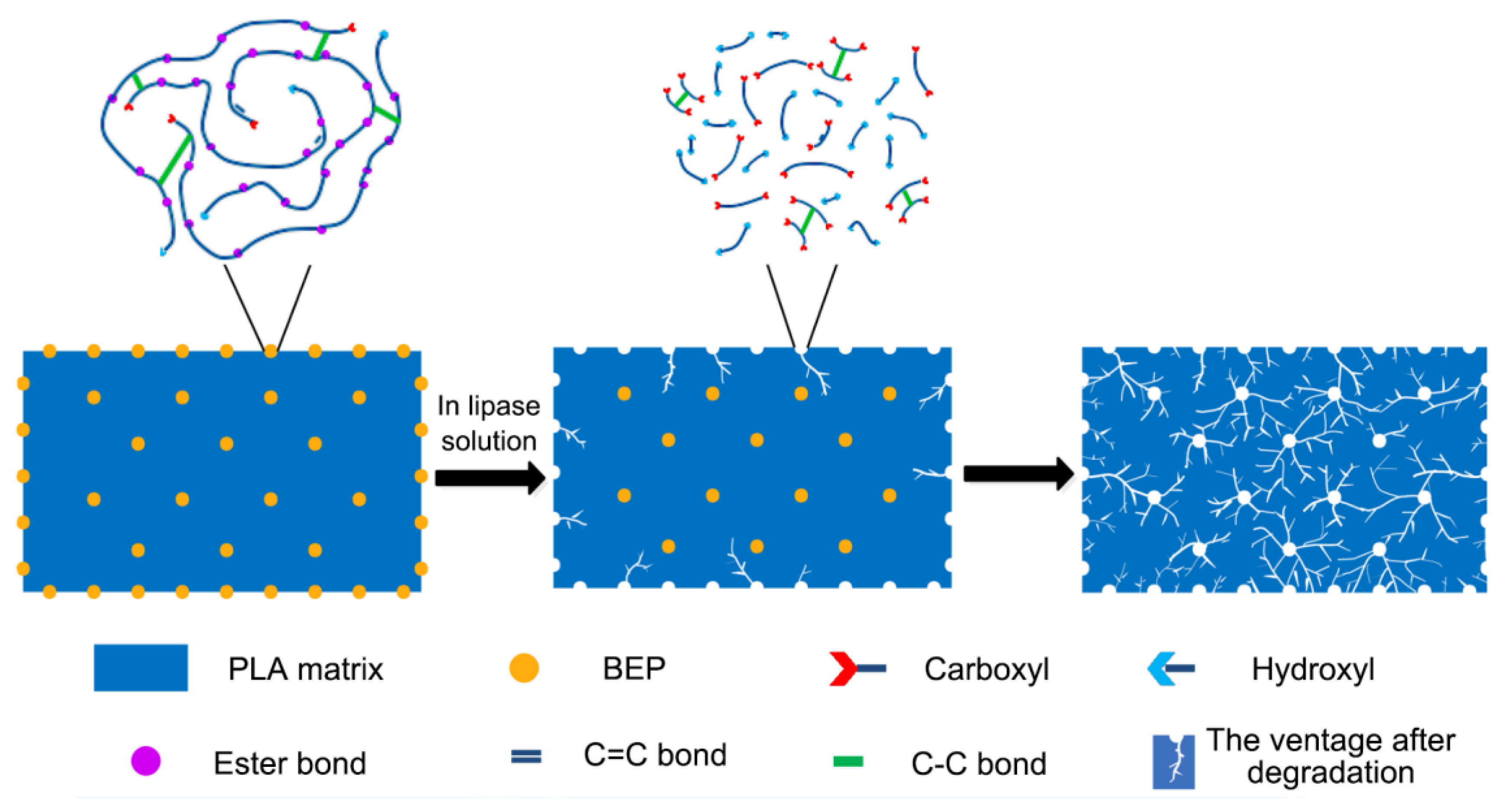 Polymers 11 01413 g011 Polymers 11 01413 g011