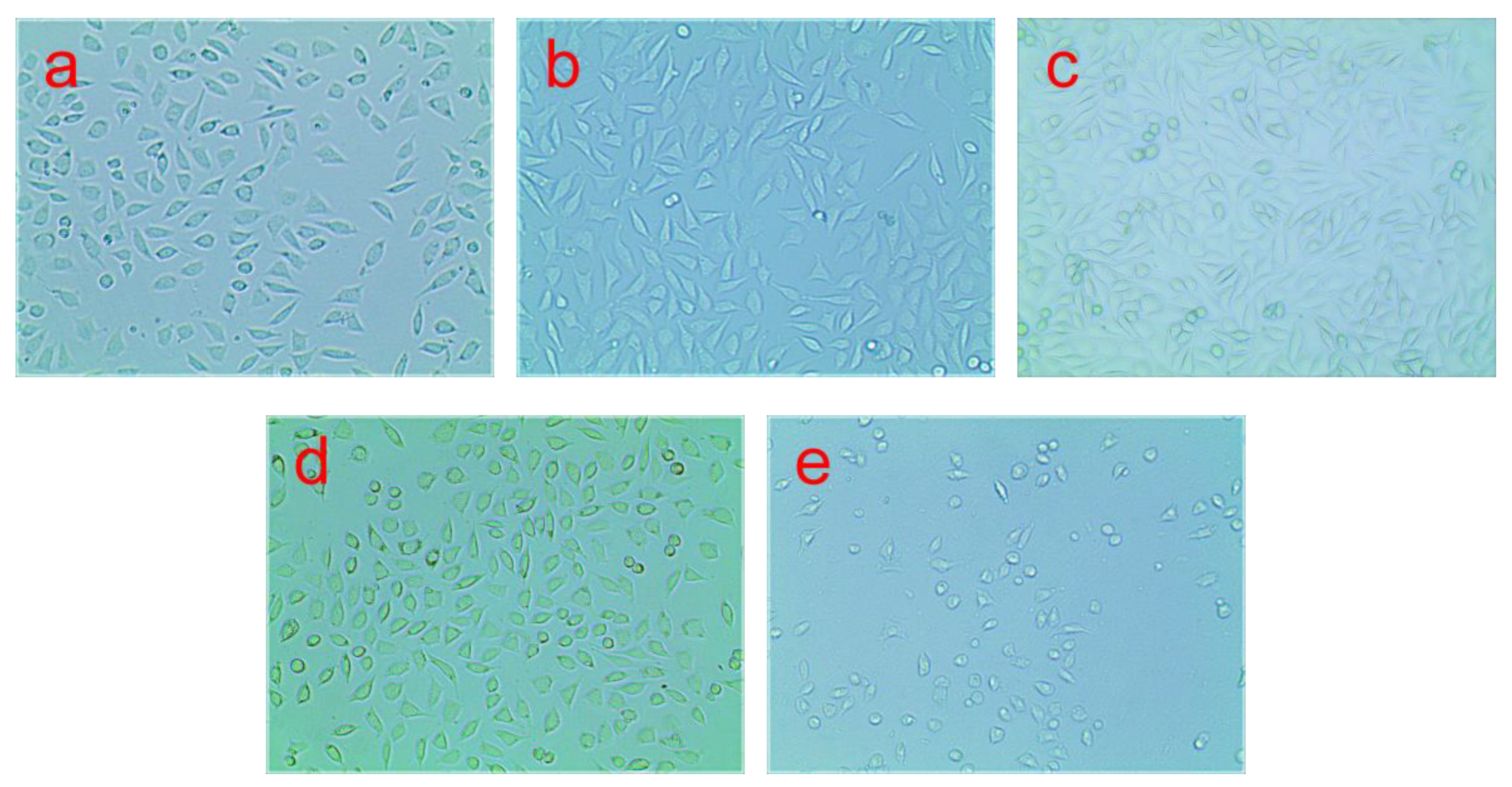 Polymers 11 01413 g013 Polymers 11 01413 g013