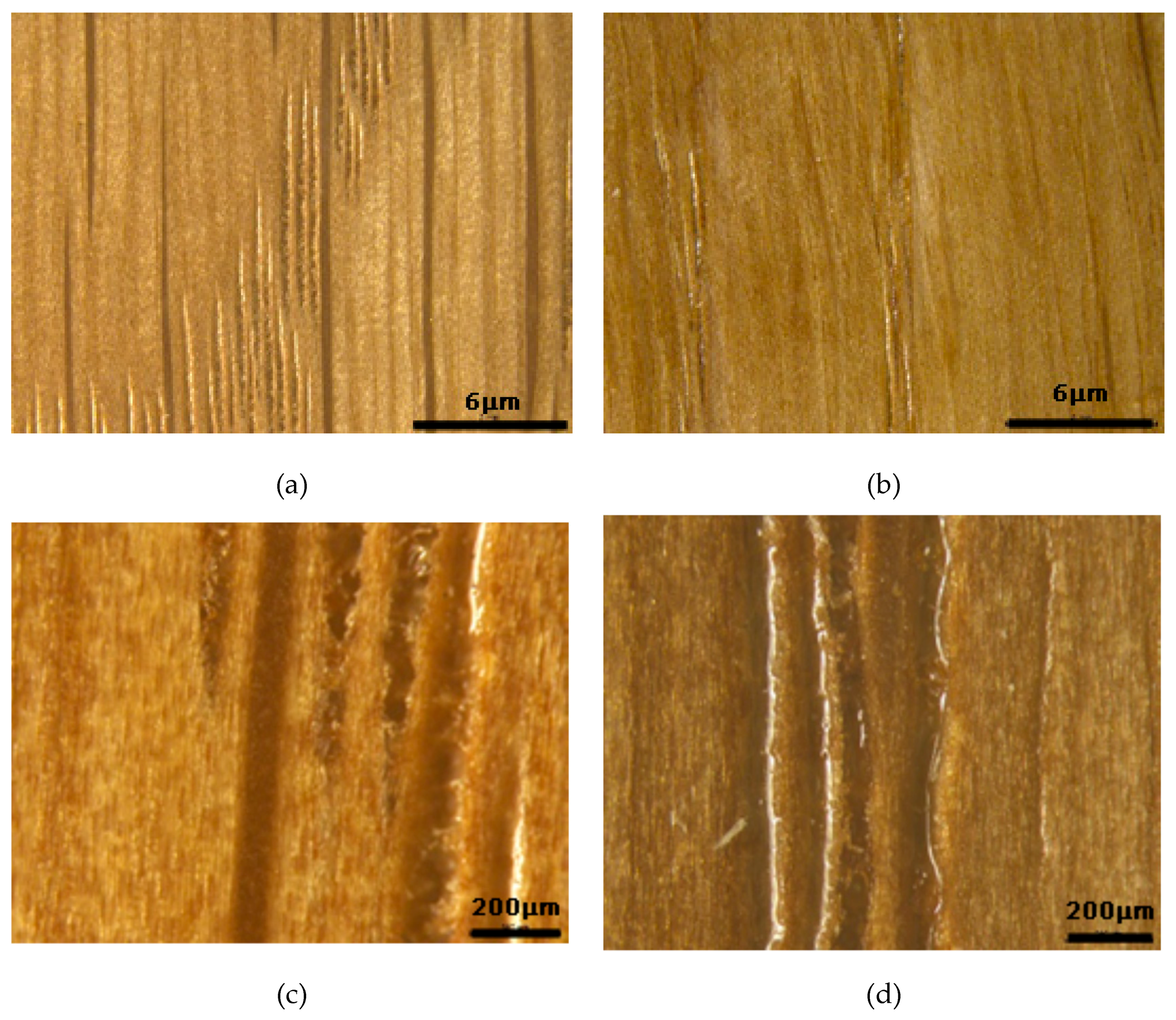 Polymers 11 01414 g003 550