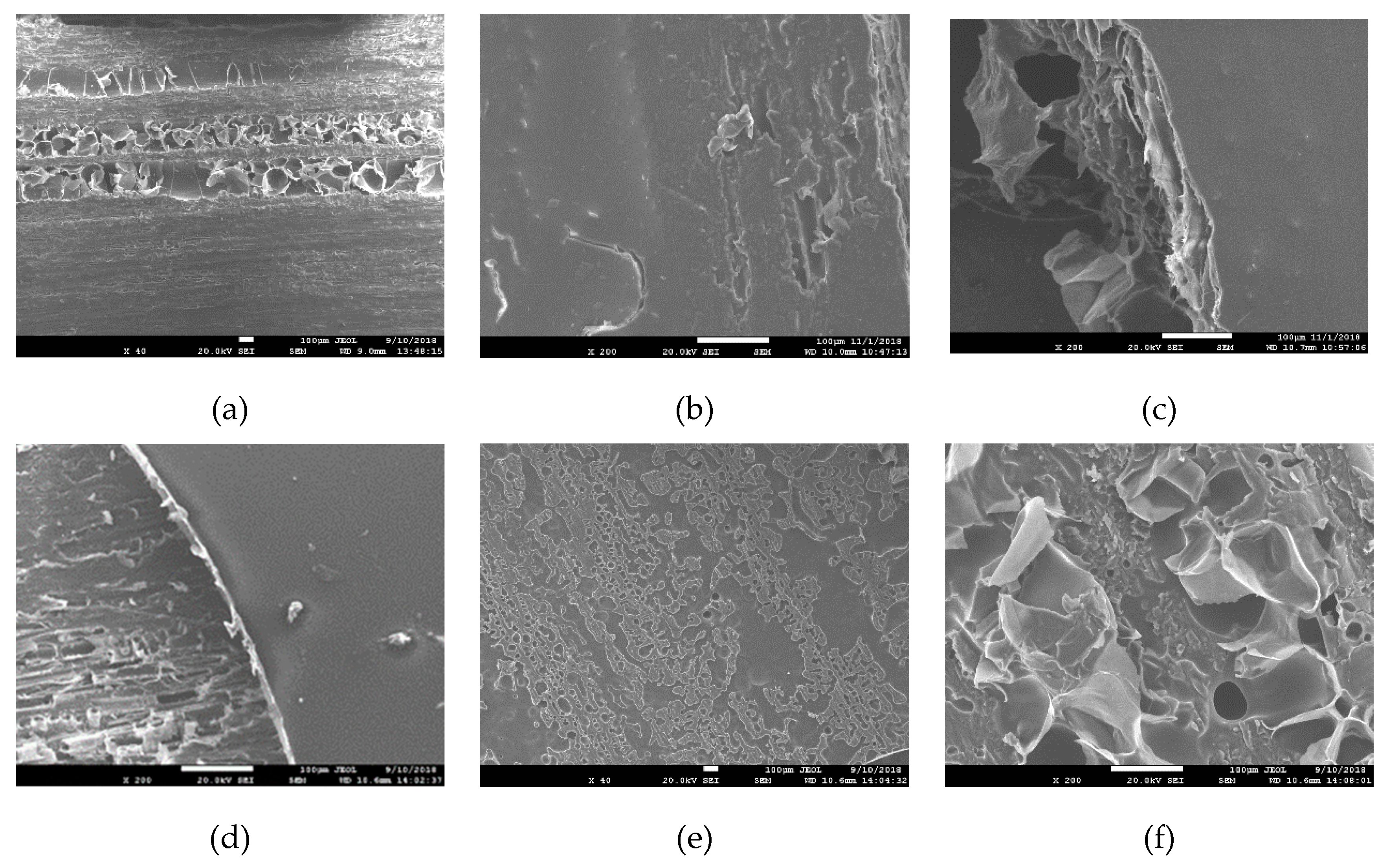 Polymers 11 01414 g004 550