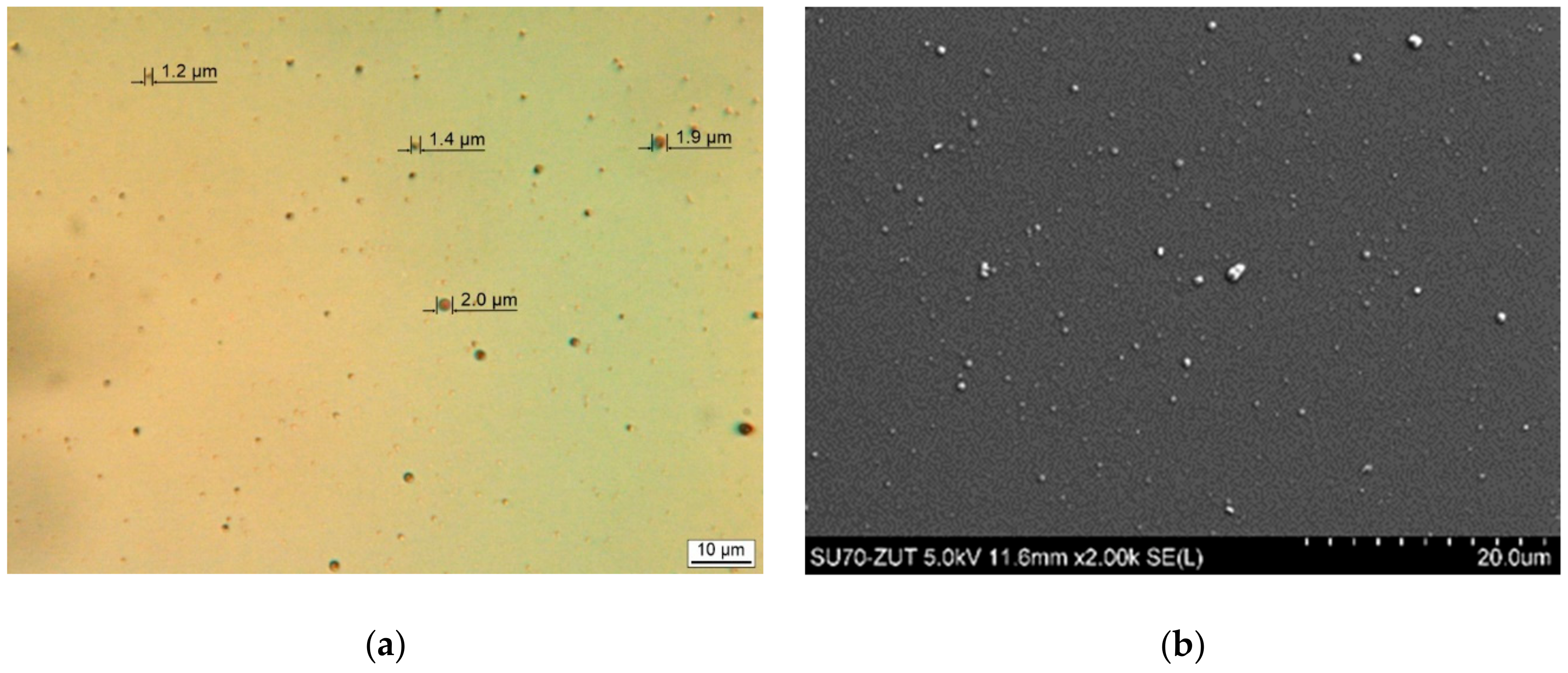 Polymers 11 01419 g003 Polymers 11 01419 g003