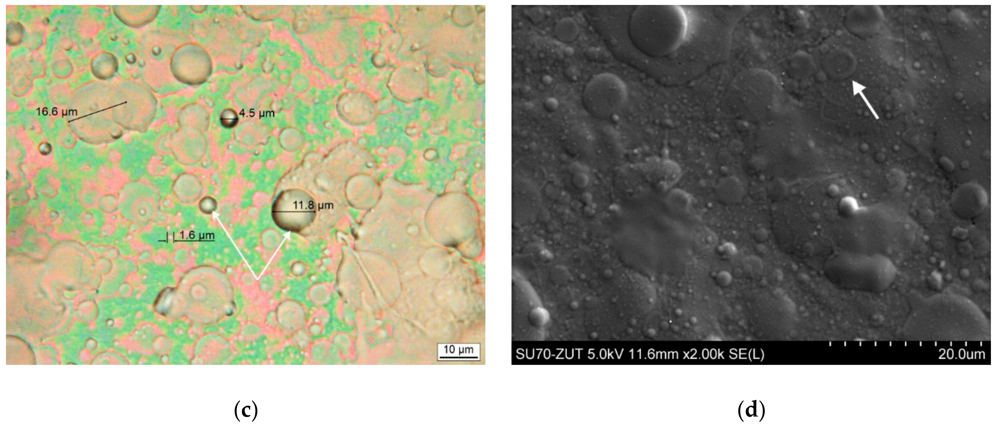 Polymers 11 01419 g004b Polymers 11 01419 g004b
