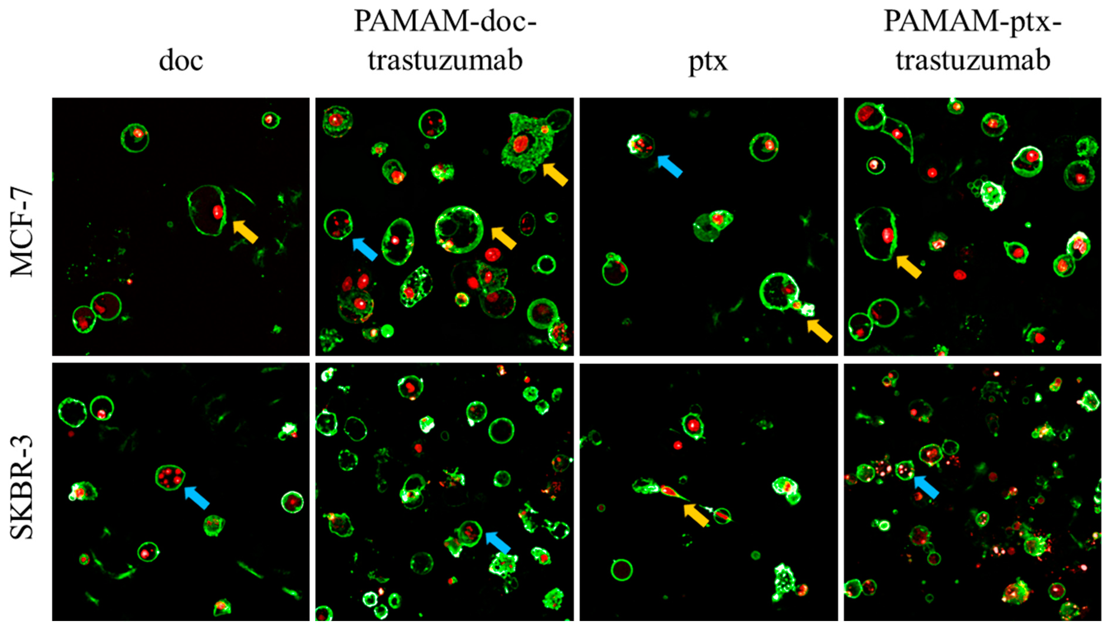 Polymers 11 01422 g005 Polymers 11 01422 g005
