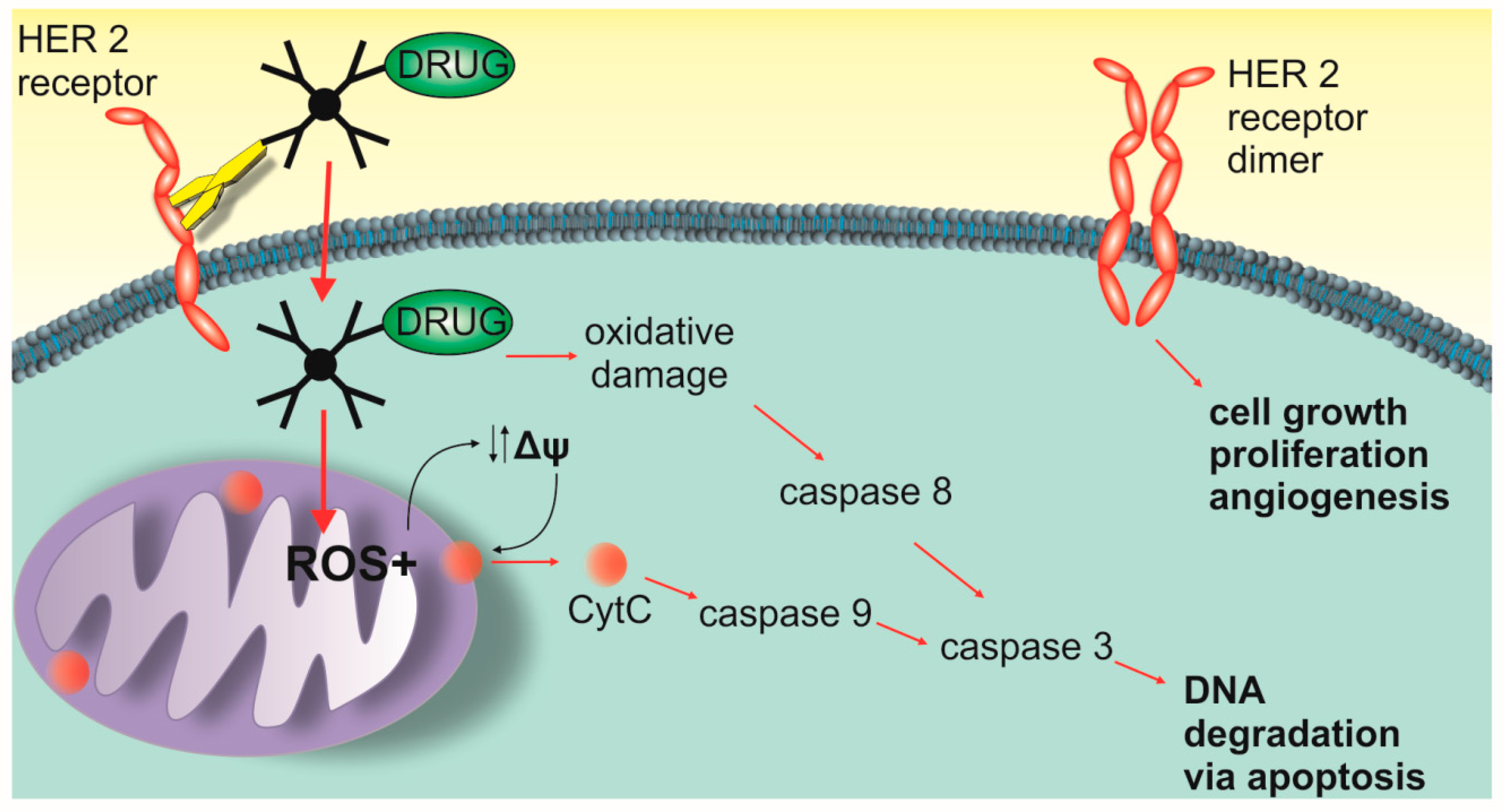 Polymers 11 01422 sch001 Polymers 11 01422 sch001