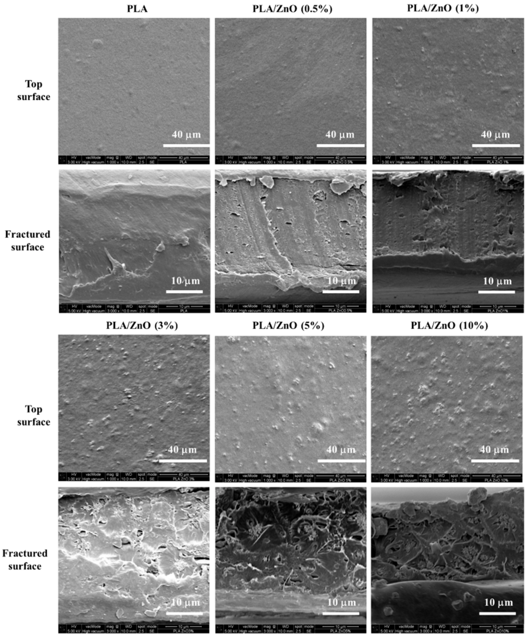 Polymers 11 01427 g004 Polymers 11 01427 g004