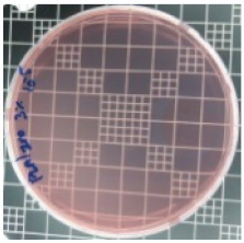 Polymers 11 01427 i008 Polymers 11 01427 i008