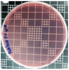 Polymers 11 01427 i010 Polymers 11 01427 i010