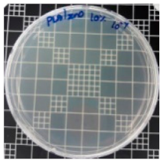 Polymers 11 01427 i011 Polymers 11 01427 i011