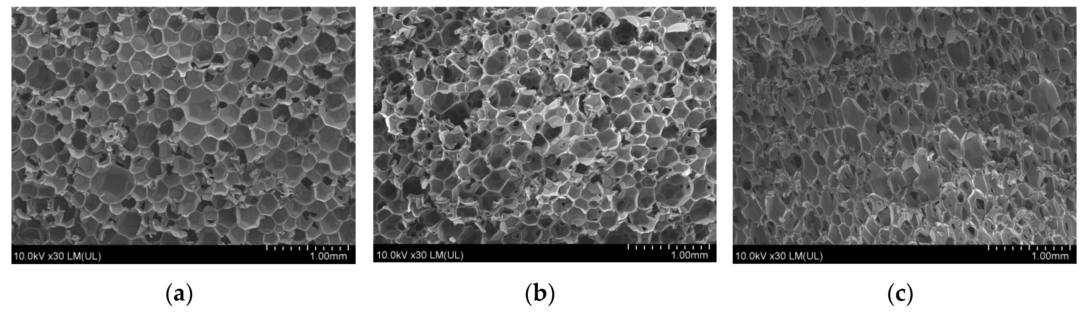 Polymers 11 01431 g005 Polymers 11 01431 g005