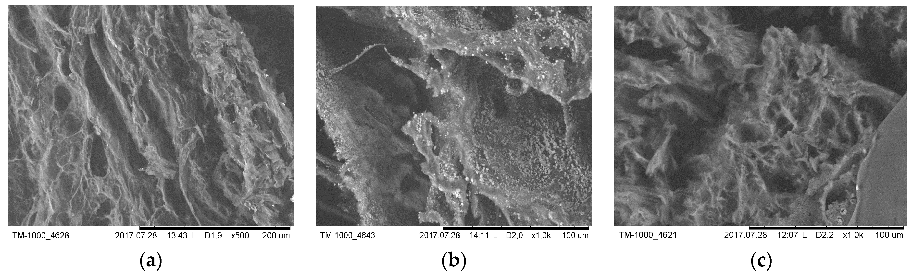 Polymers 11 01432 g009 Polymers 11 01432 g009