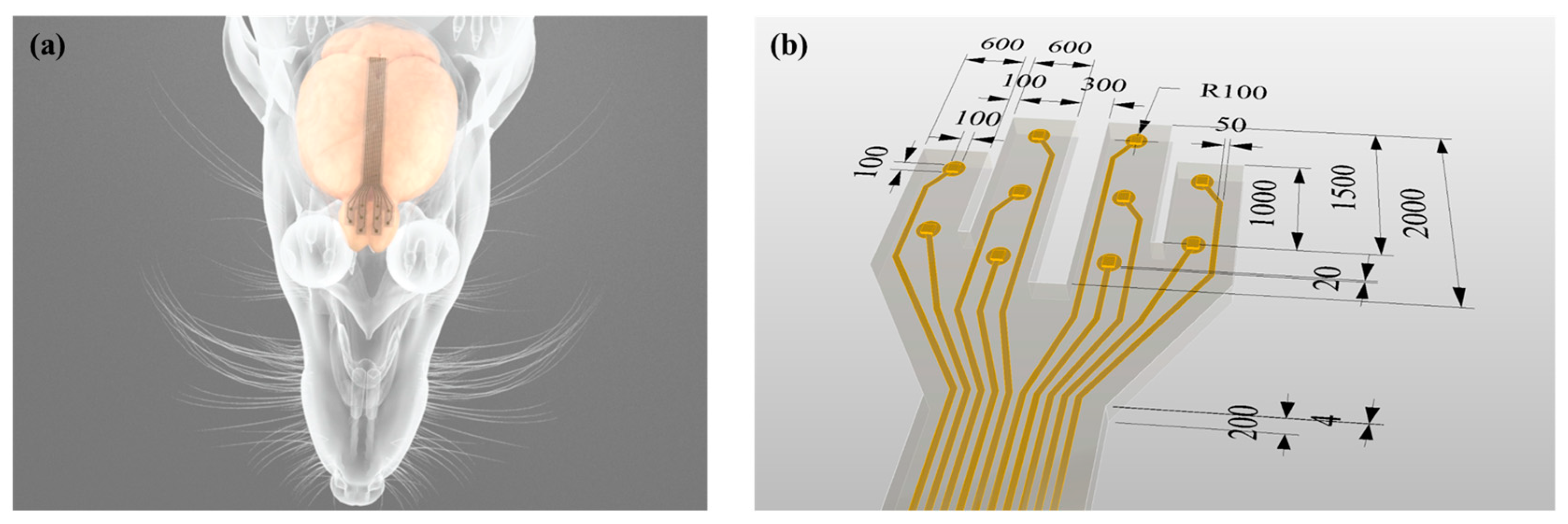 Polymers 11 01436 g001 Polymers 11 01436 g001