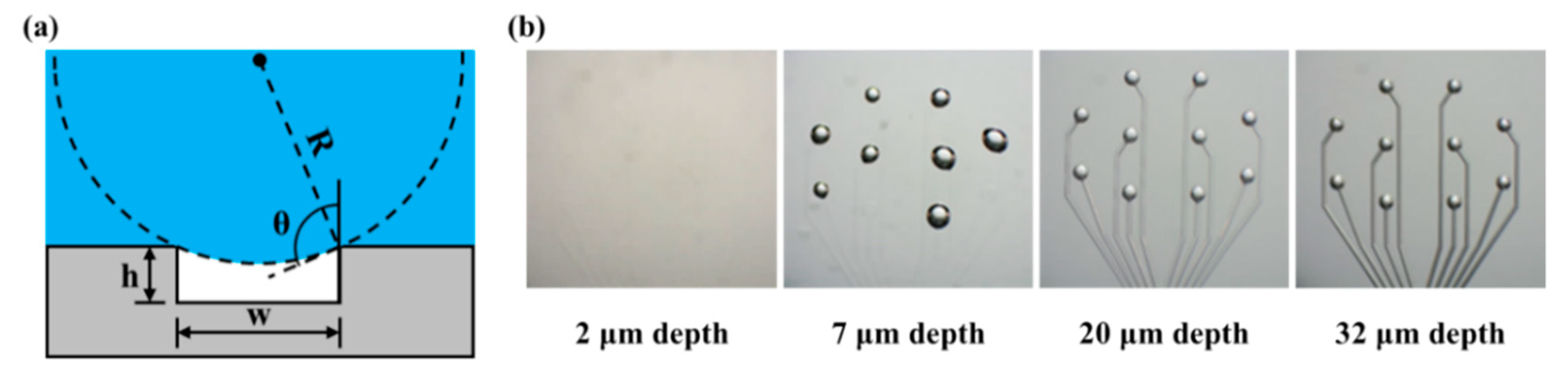 Polymers 11 01436 g007 Polymers 11 01436 g007