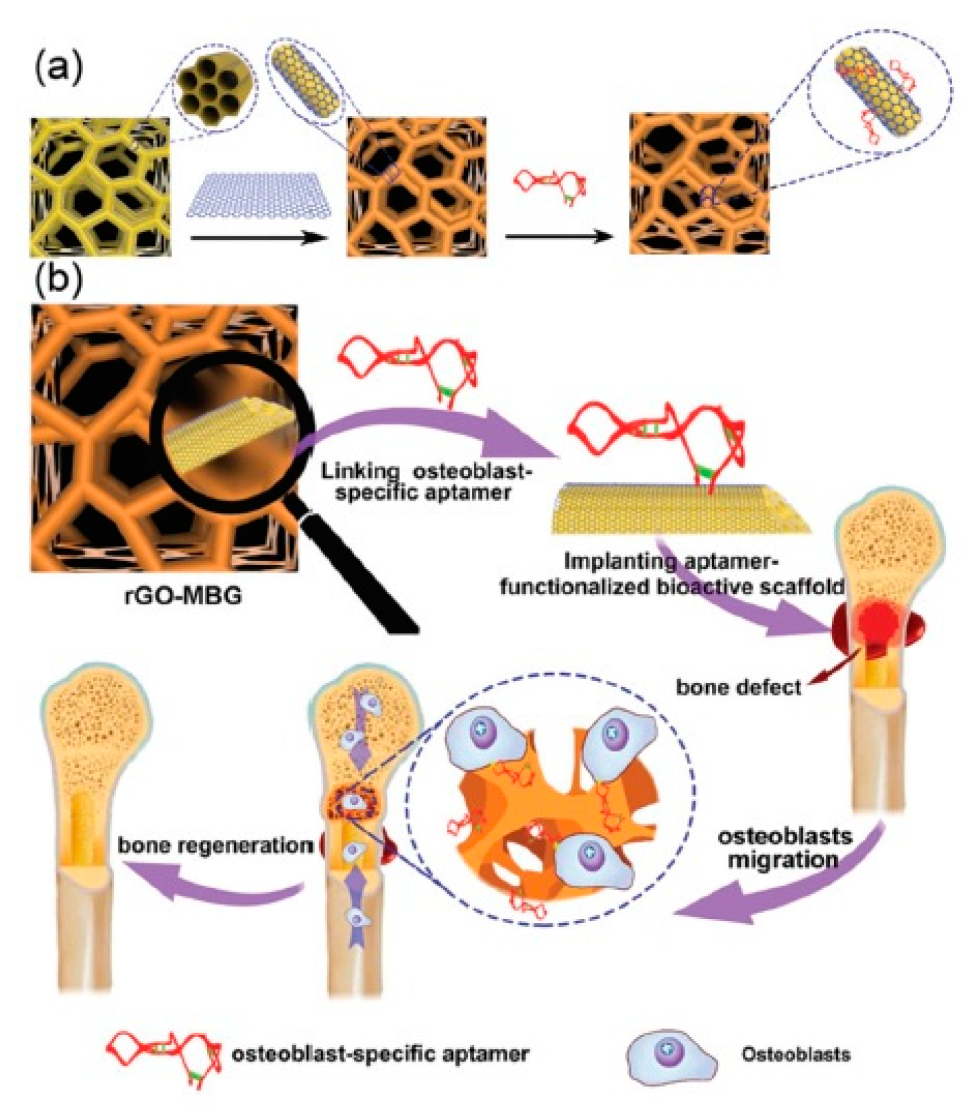 Polymers 11 01437 g006 Polymers 11 01437 g006